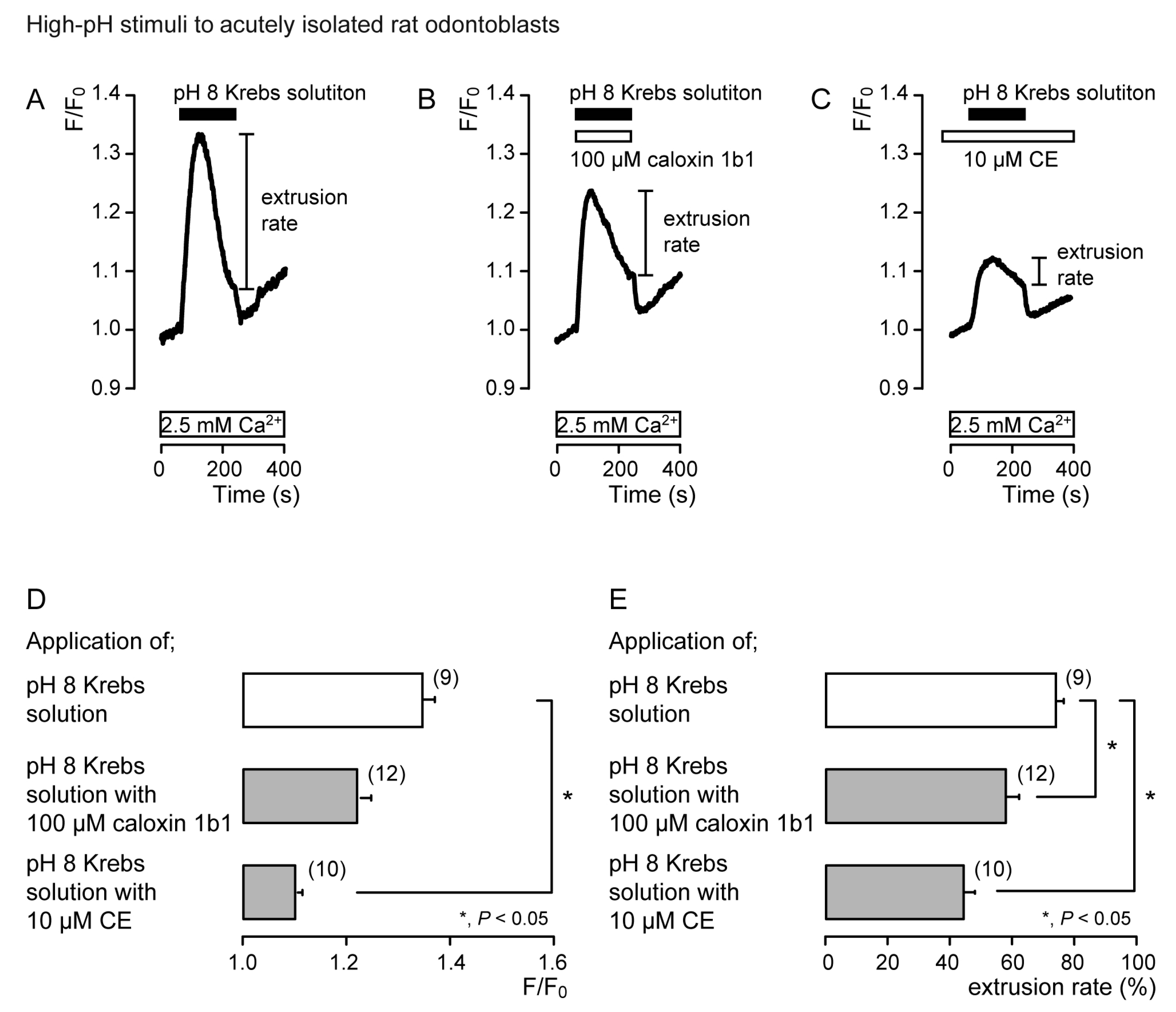 Biomolecules 11 01010 g004