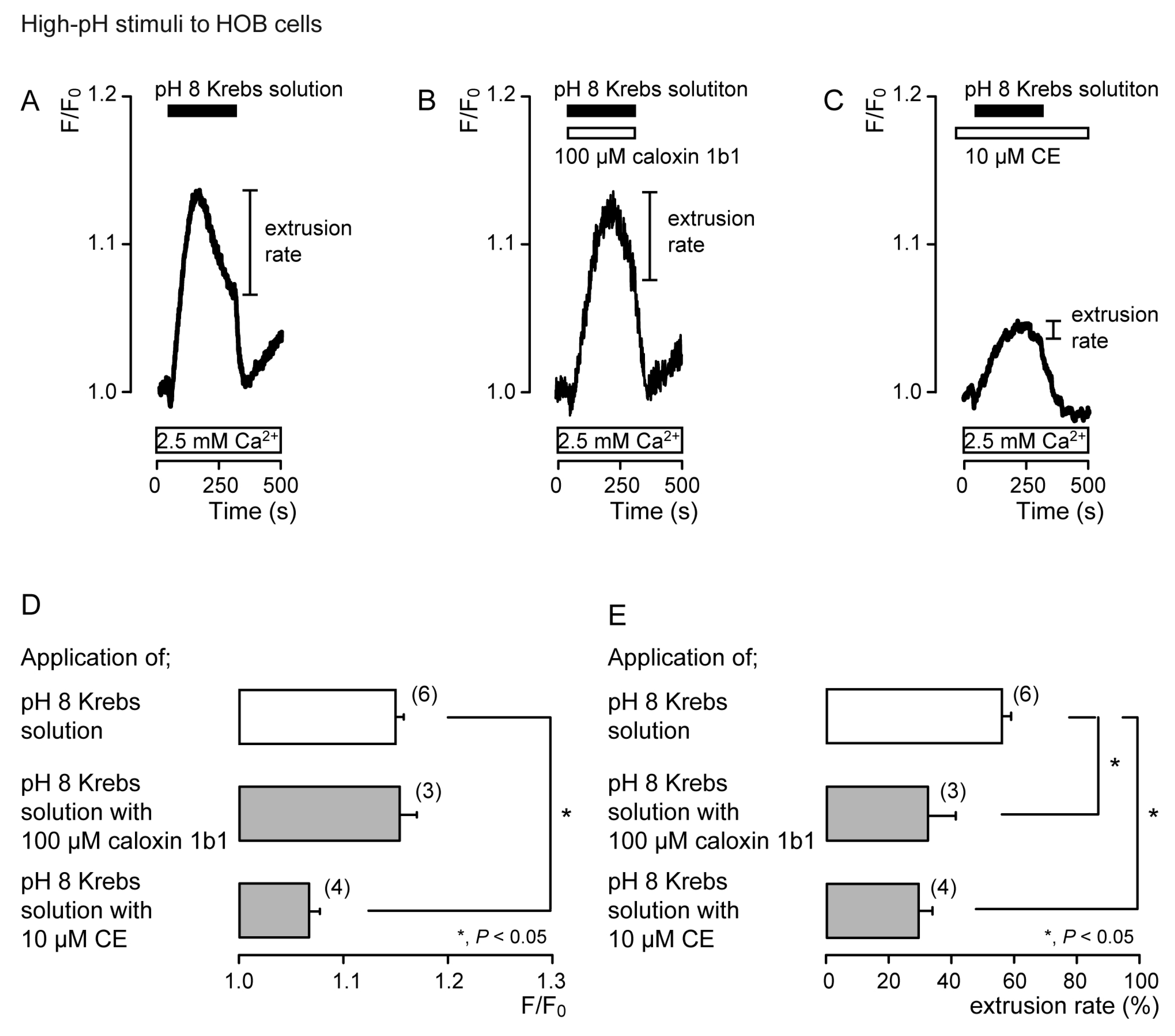Biomolecules 11 01010 g005