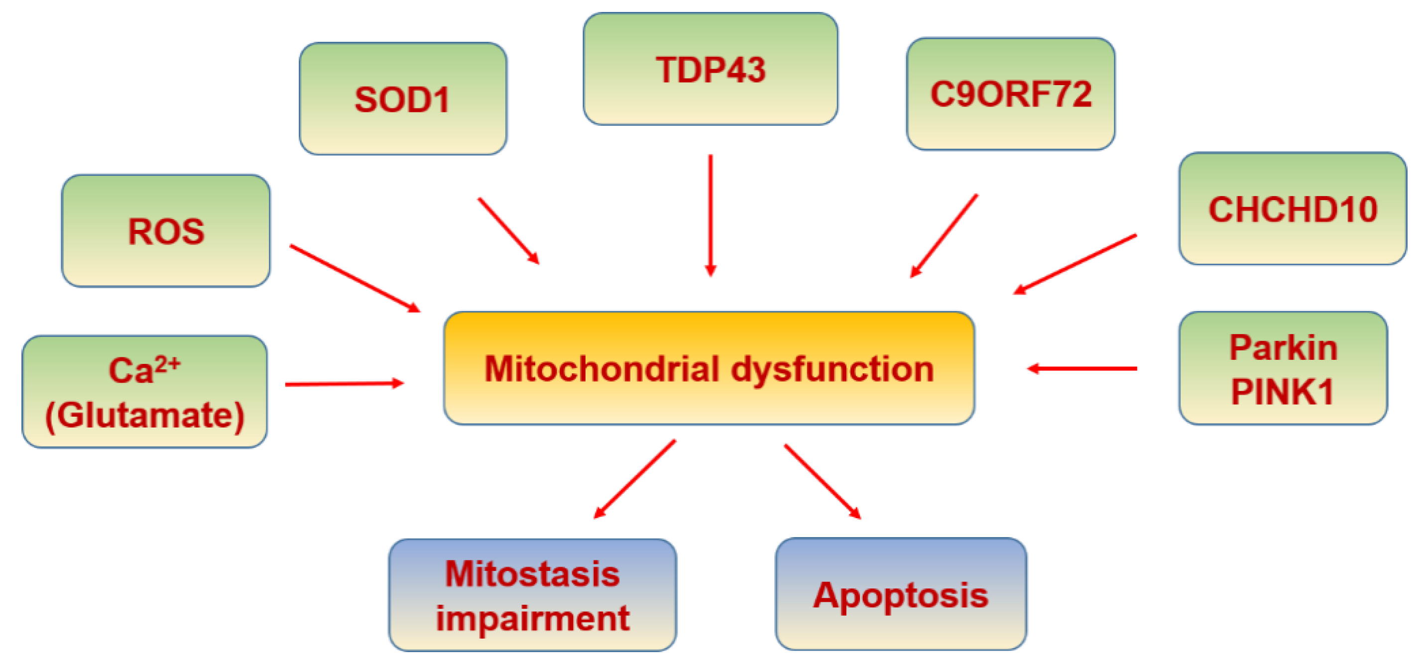 Biomolecules 11 01012 g010 550