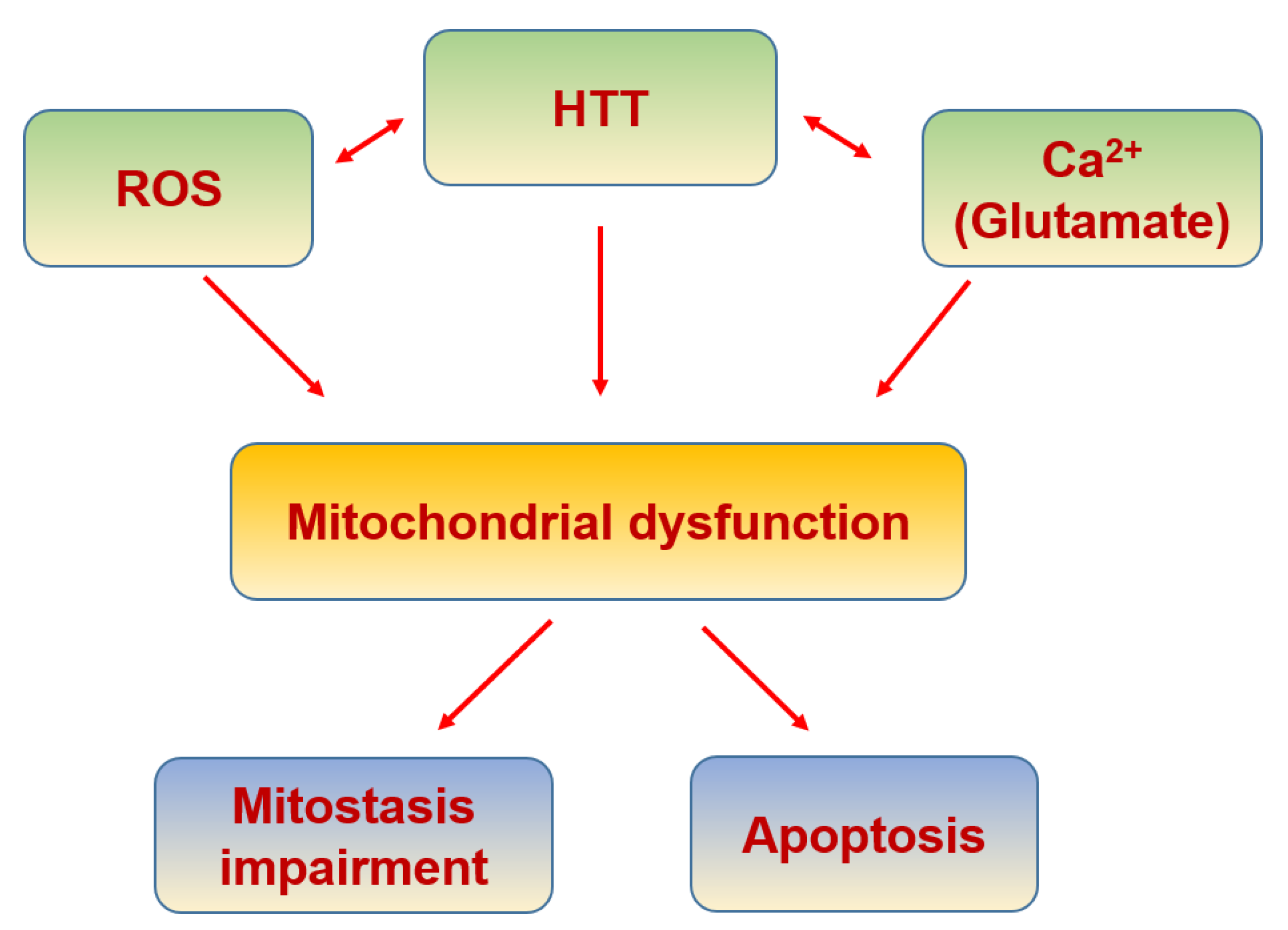 Biomolecules 11 01012 g011 550