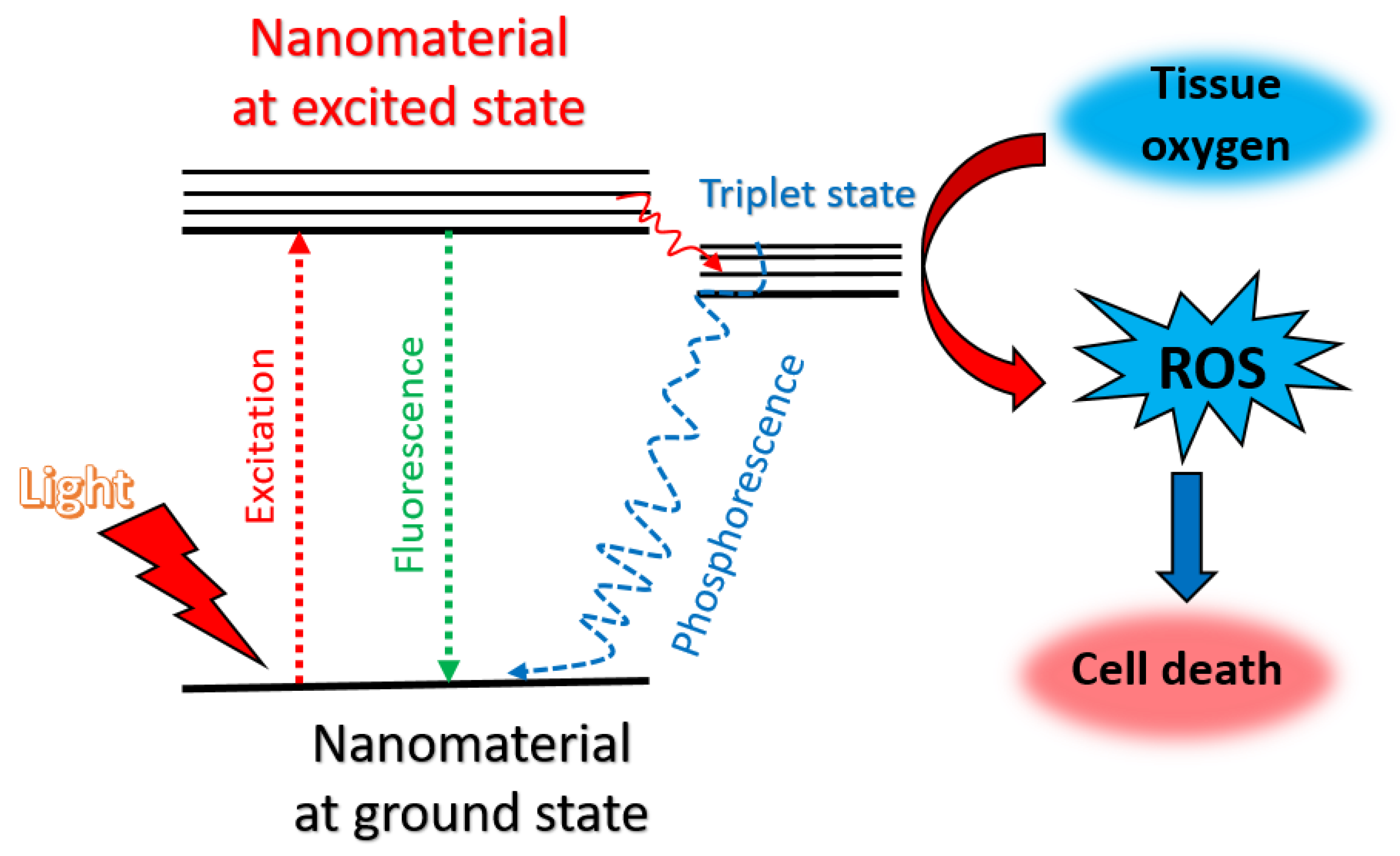 Biomolecules 11 01015 g003 550