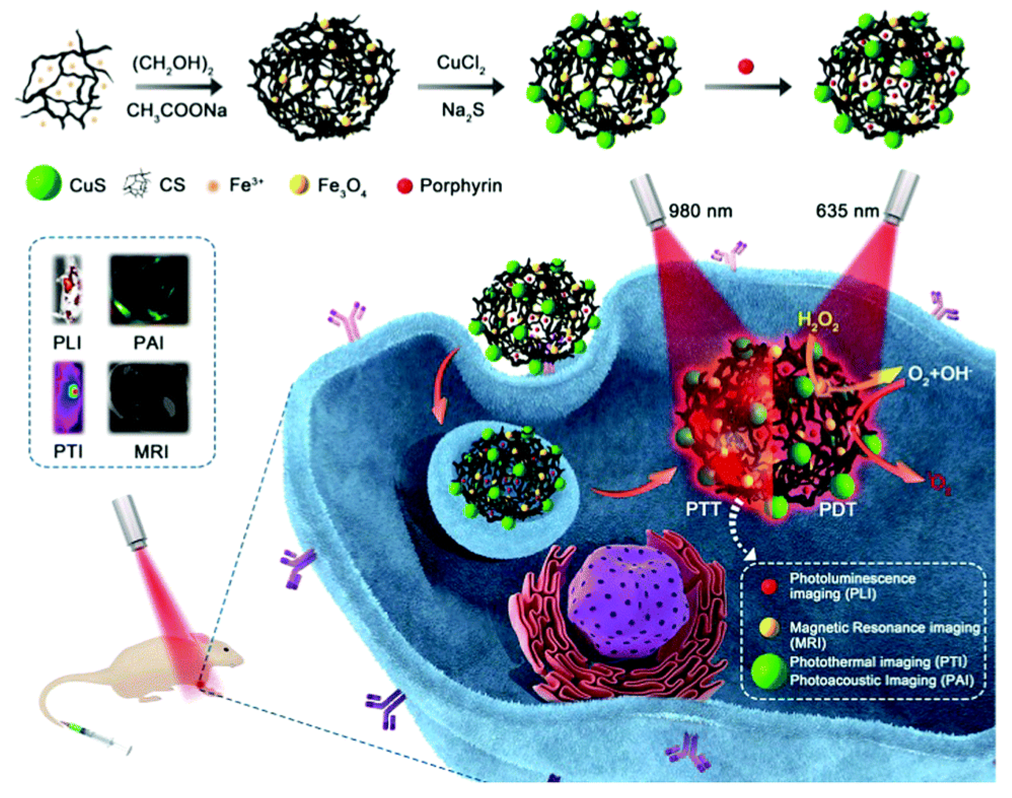 Biomolecules 11 01015 g004 550