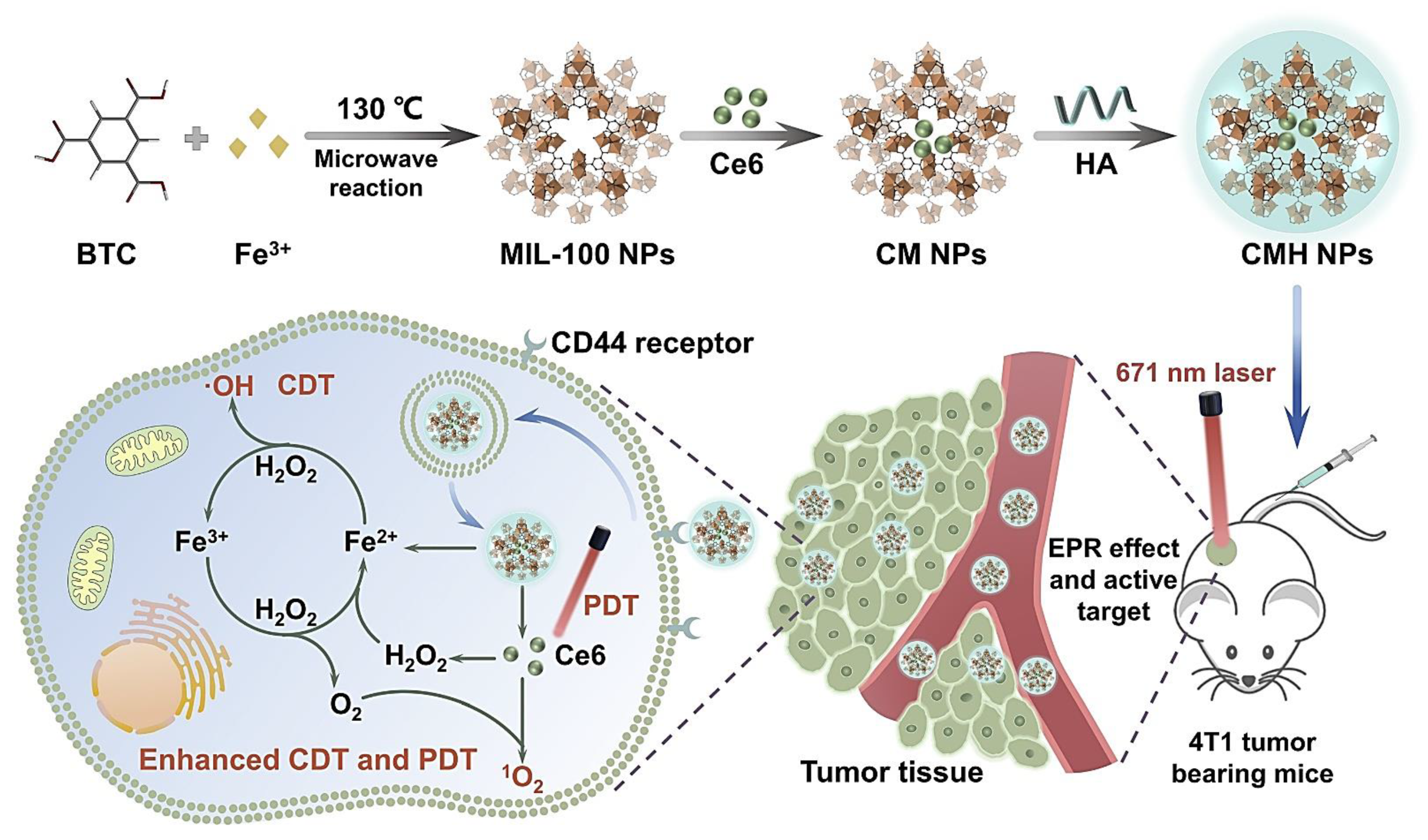 Biomolecules 11 01015 g005 550