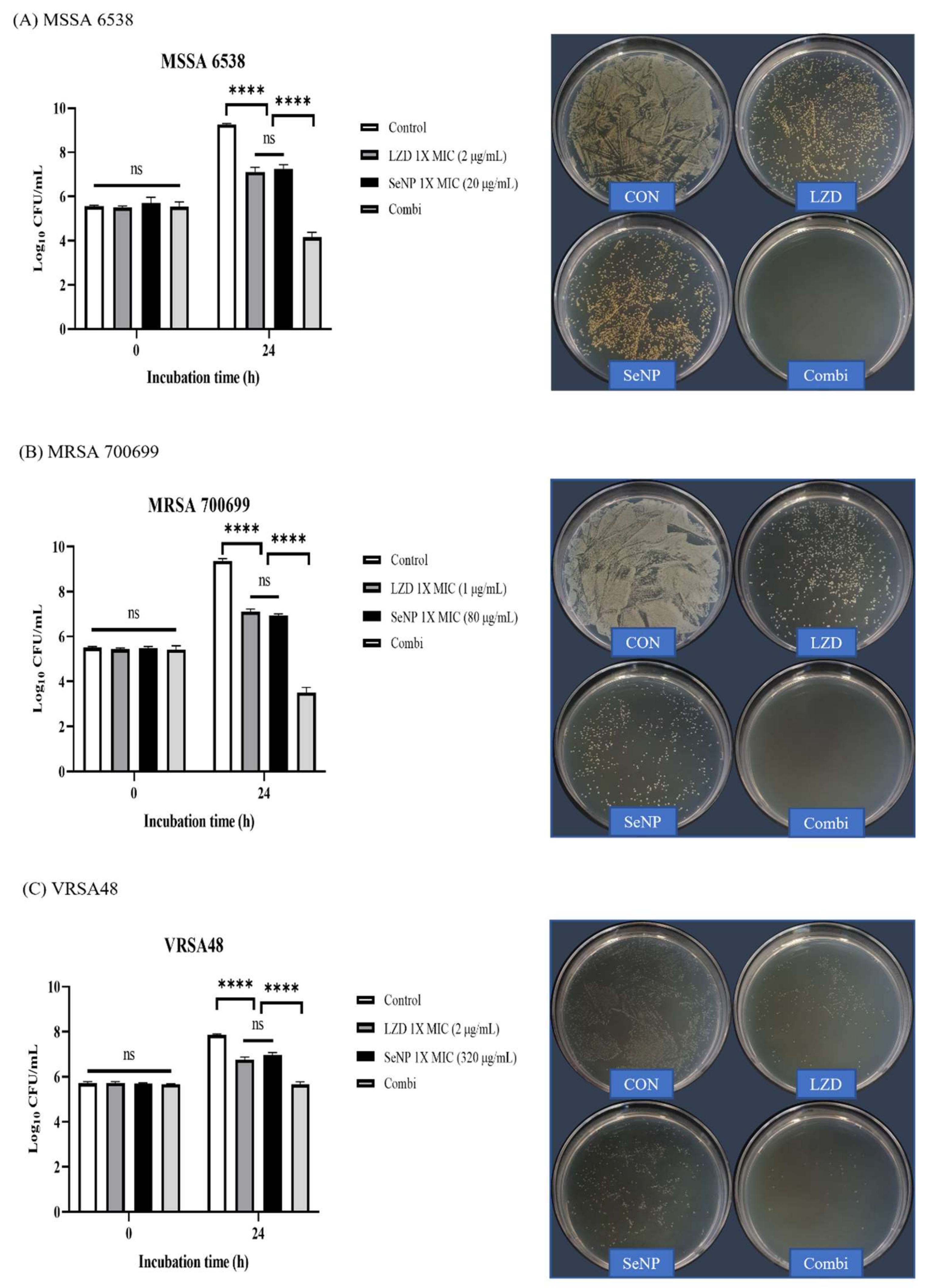 Biomolecules 11 01028 g004