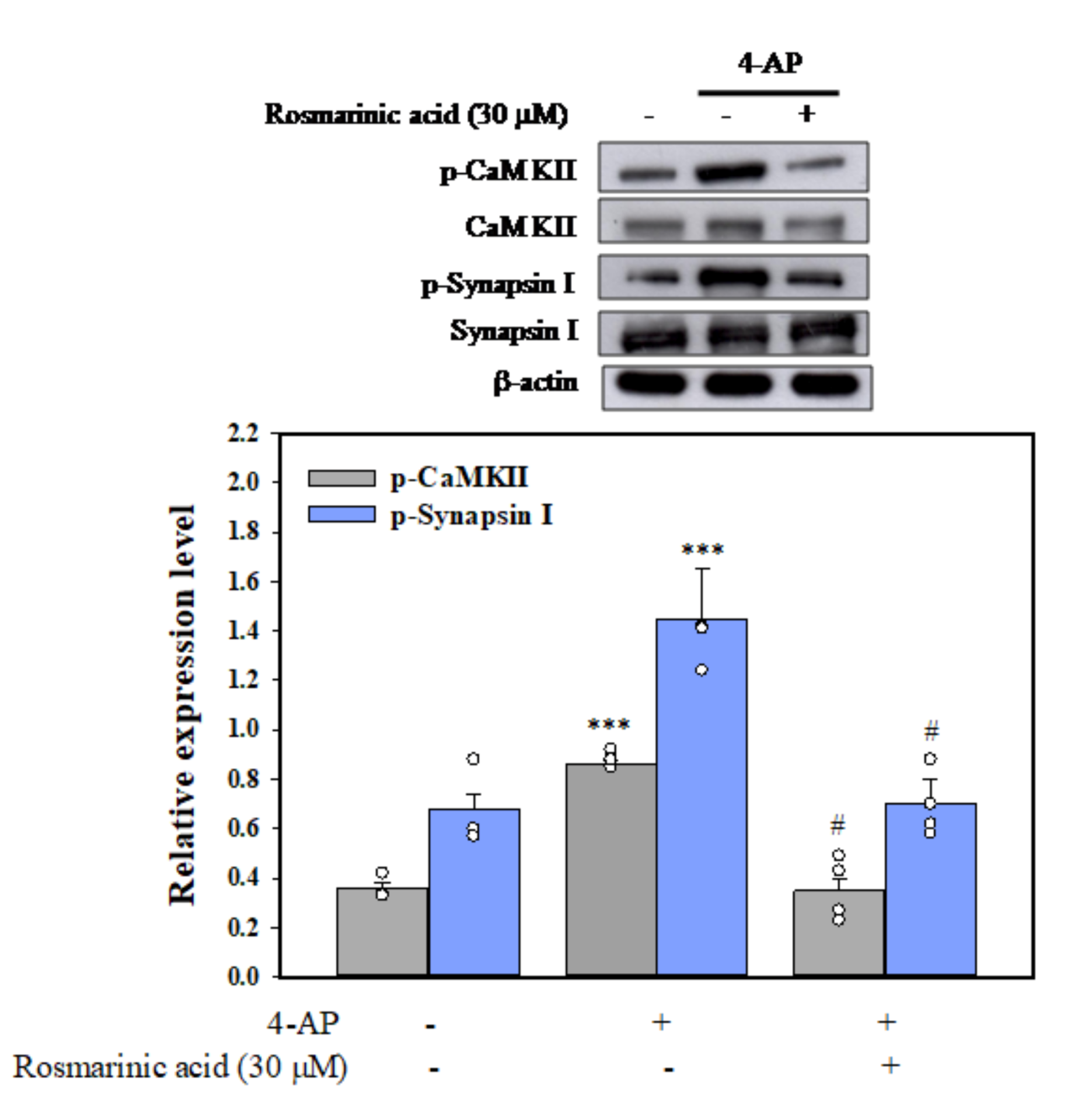 Biomolecules 11 01029 g004