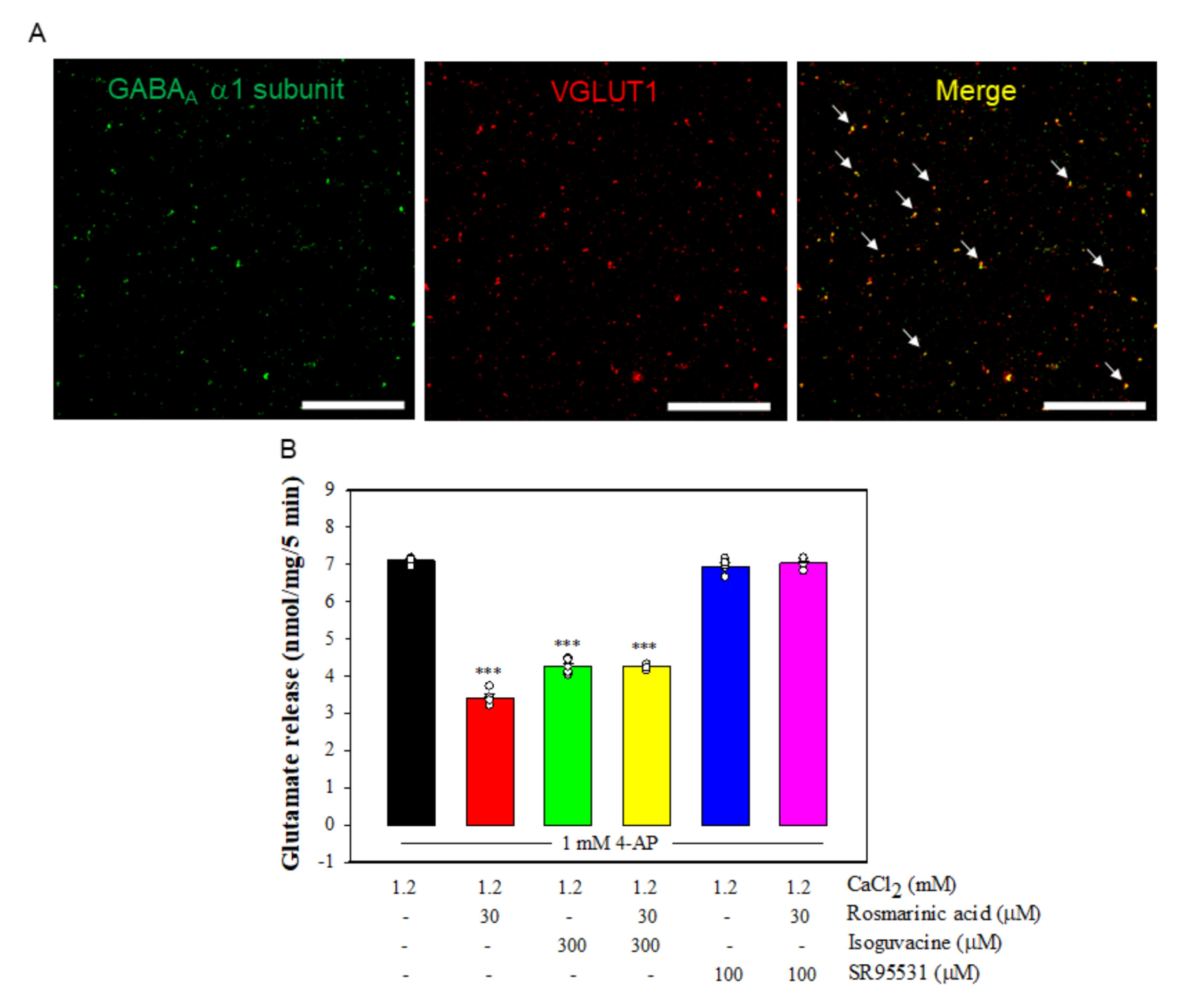 Biomolecules 11 01029 g005