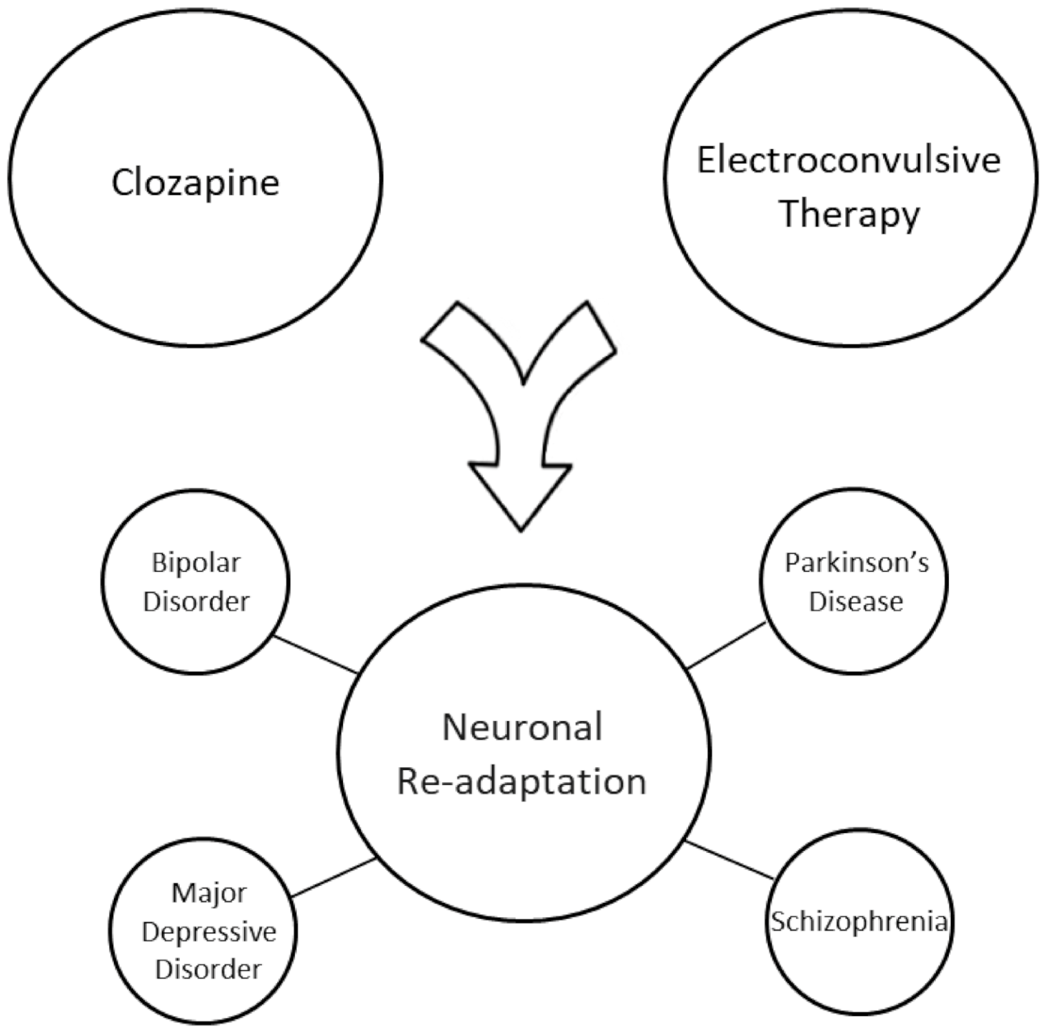 Biomolecules 11 01030 g002 Biomolecules 11 01030 g002