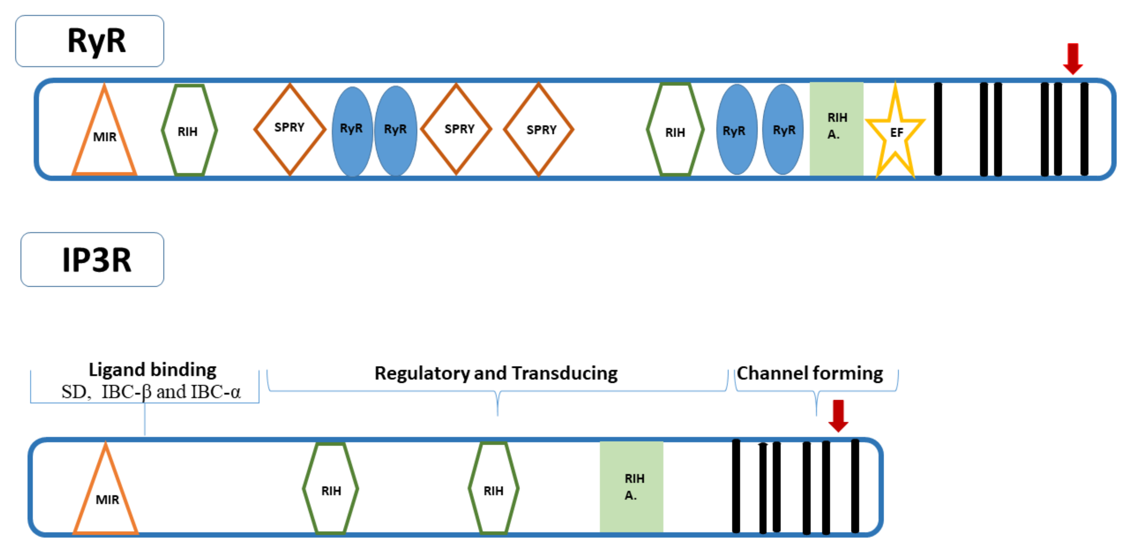 Biomolecules 11 01031 g001 Biomolecules 11 01031 g001
