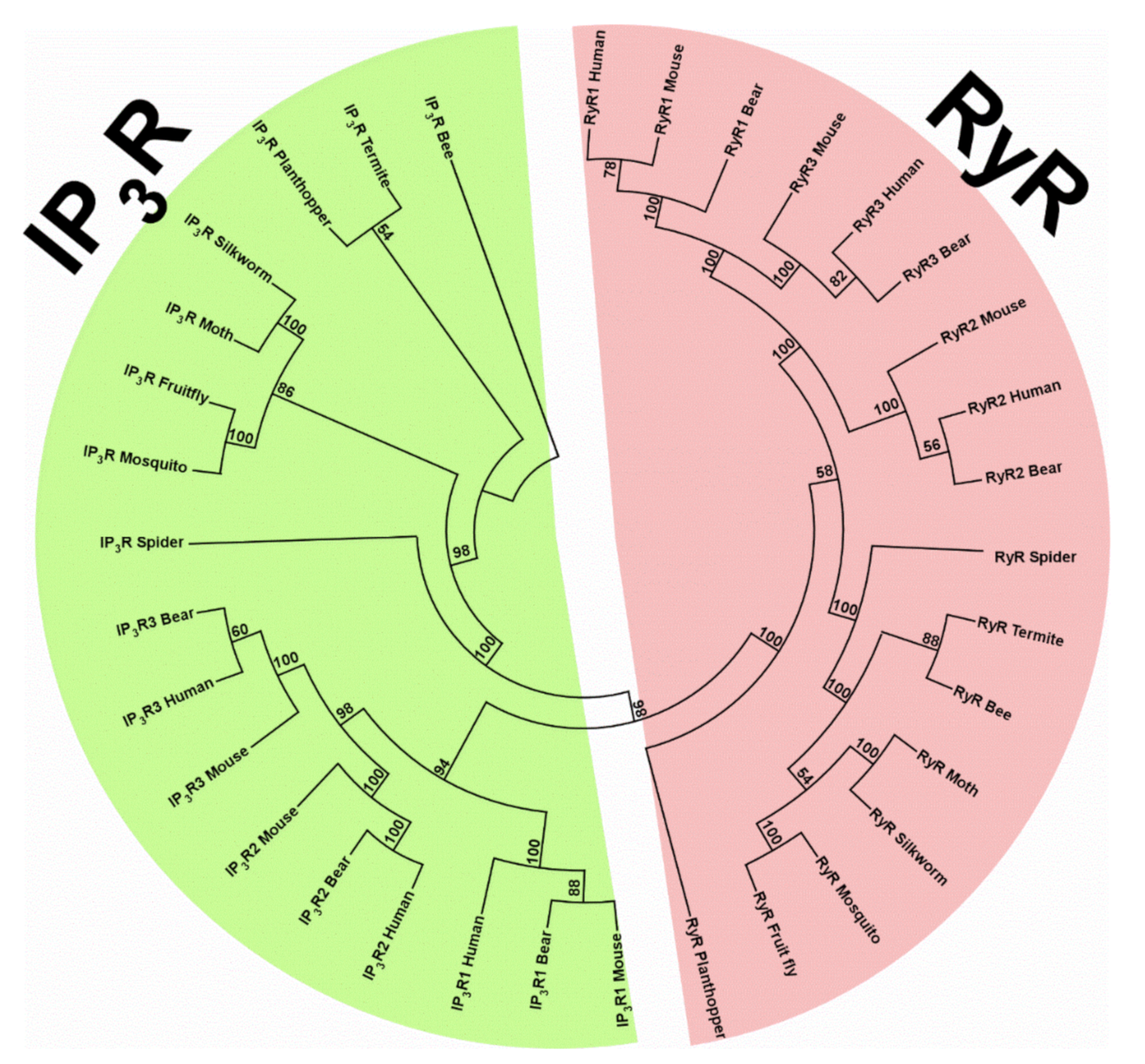 Biomolecules 11 01031 g002 Biomolecules 11 01031 g002