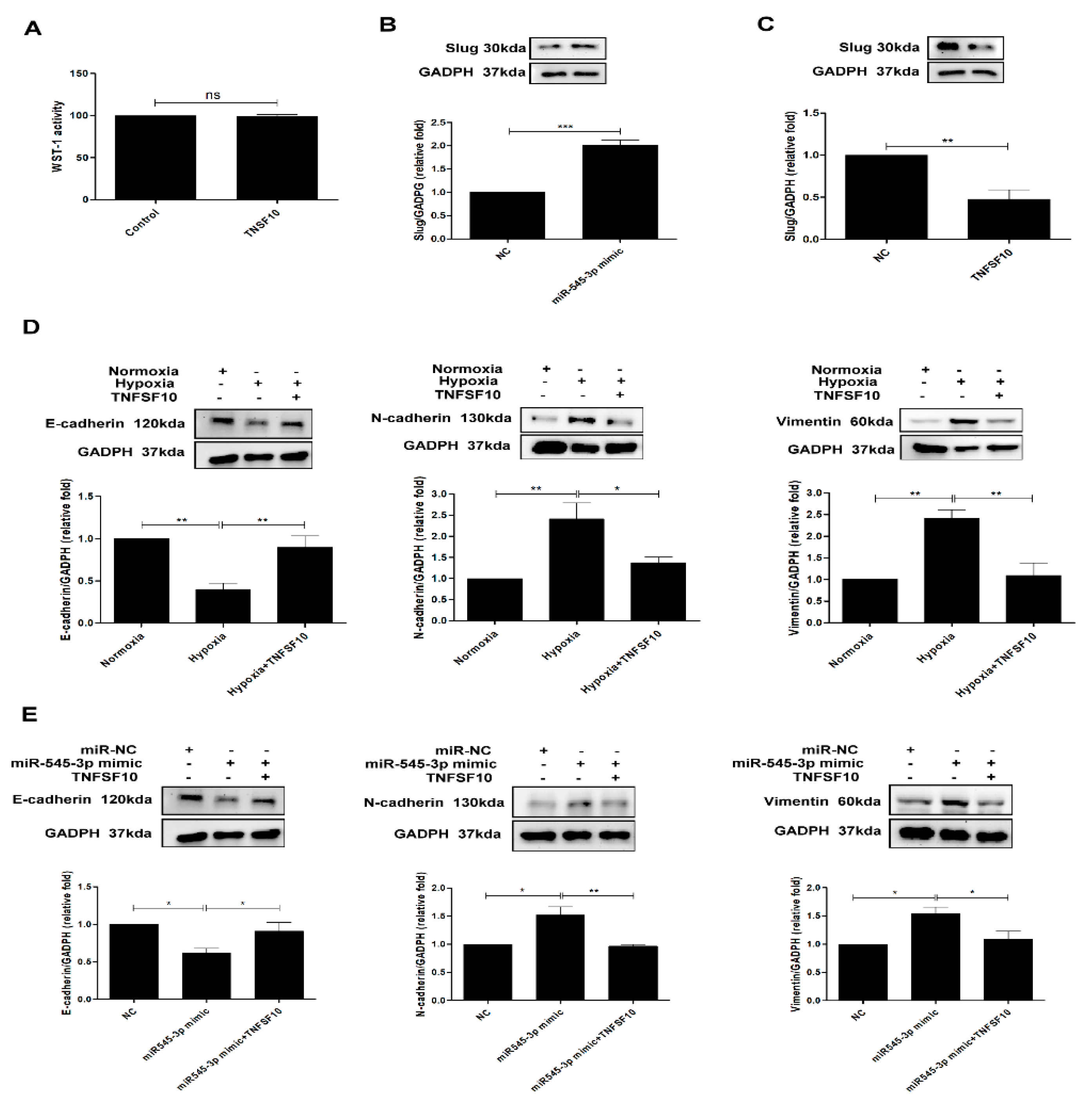 Biomolecules 11 01032 g004