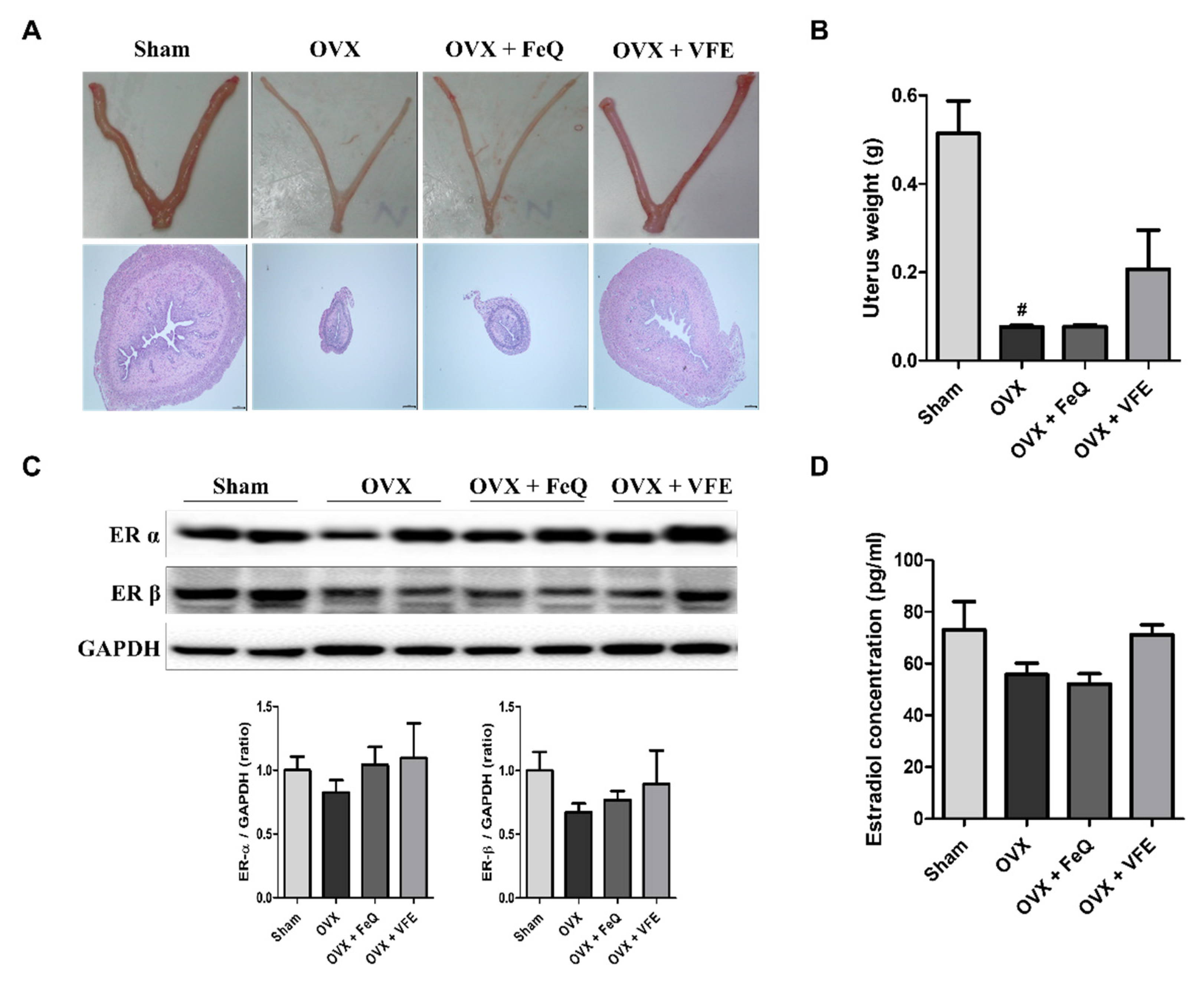 Biomolecules 11 01033 g005