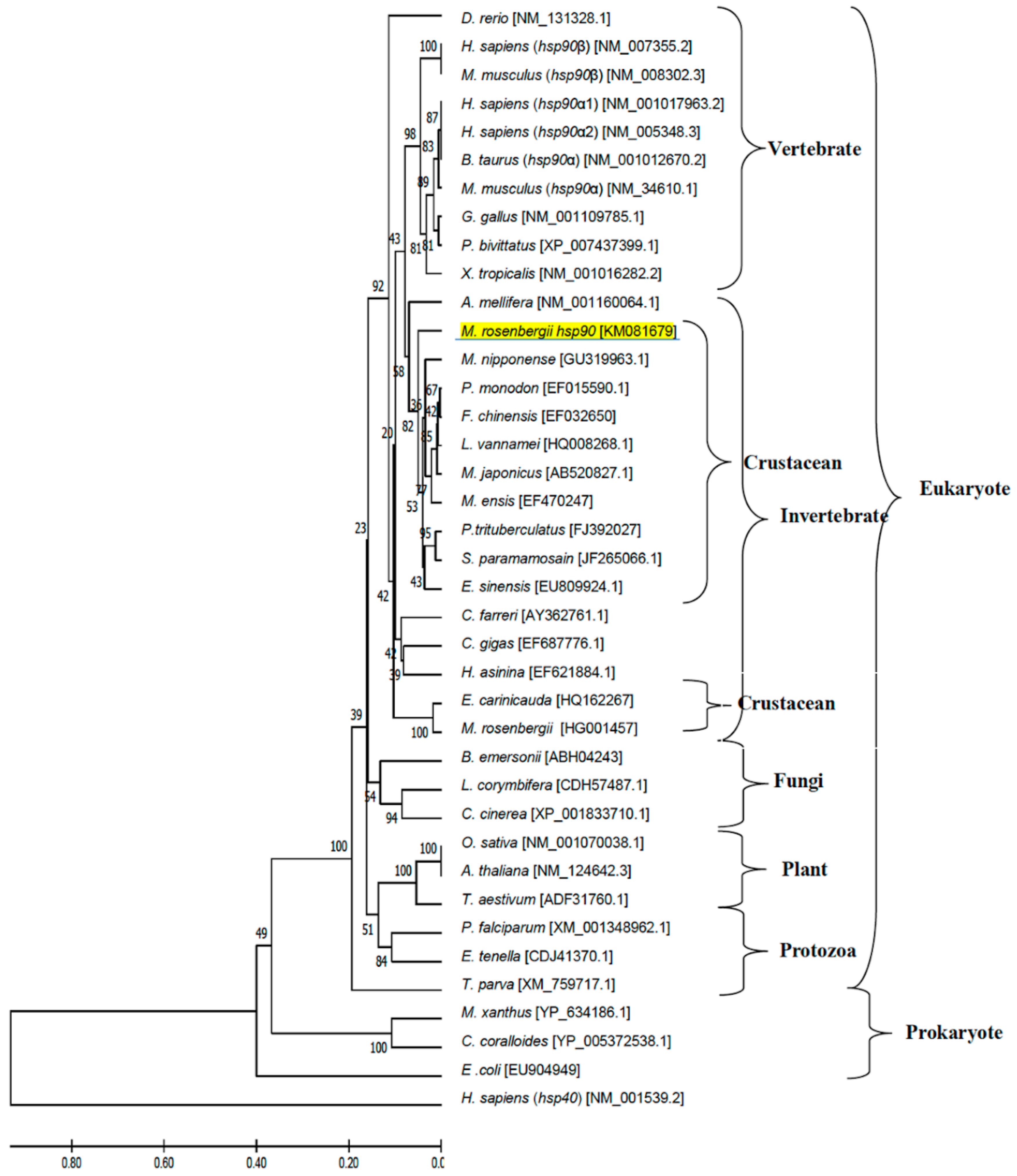 Biomolecules 11 01034 g006