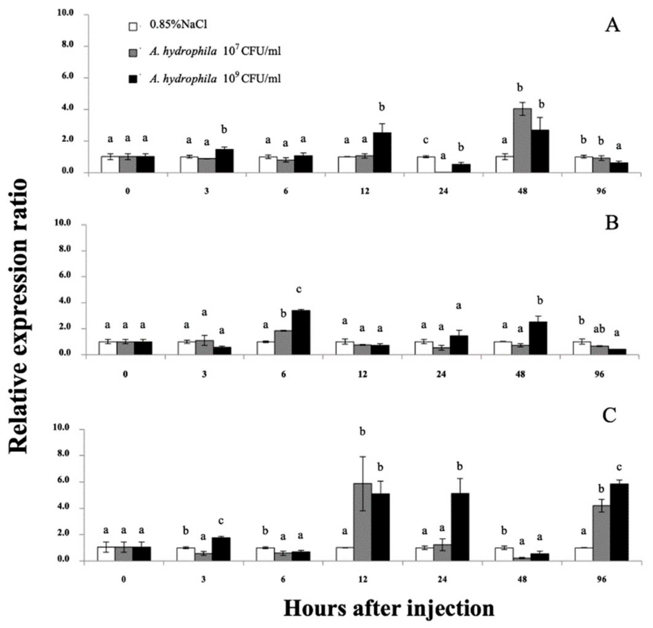 Biomolecules 11 01034 g008