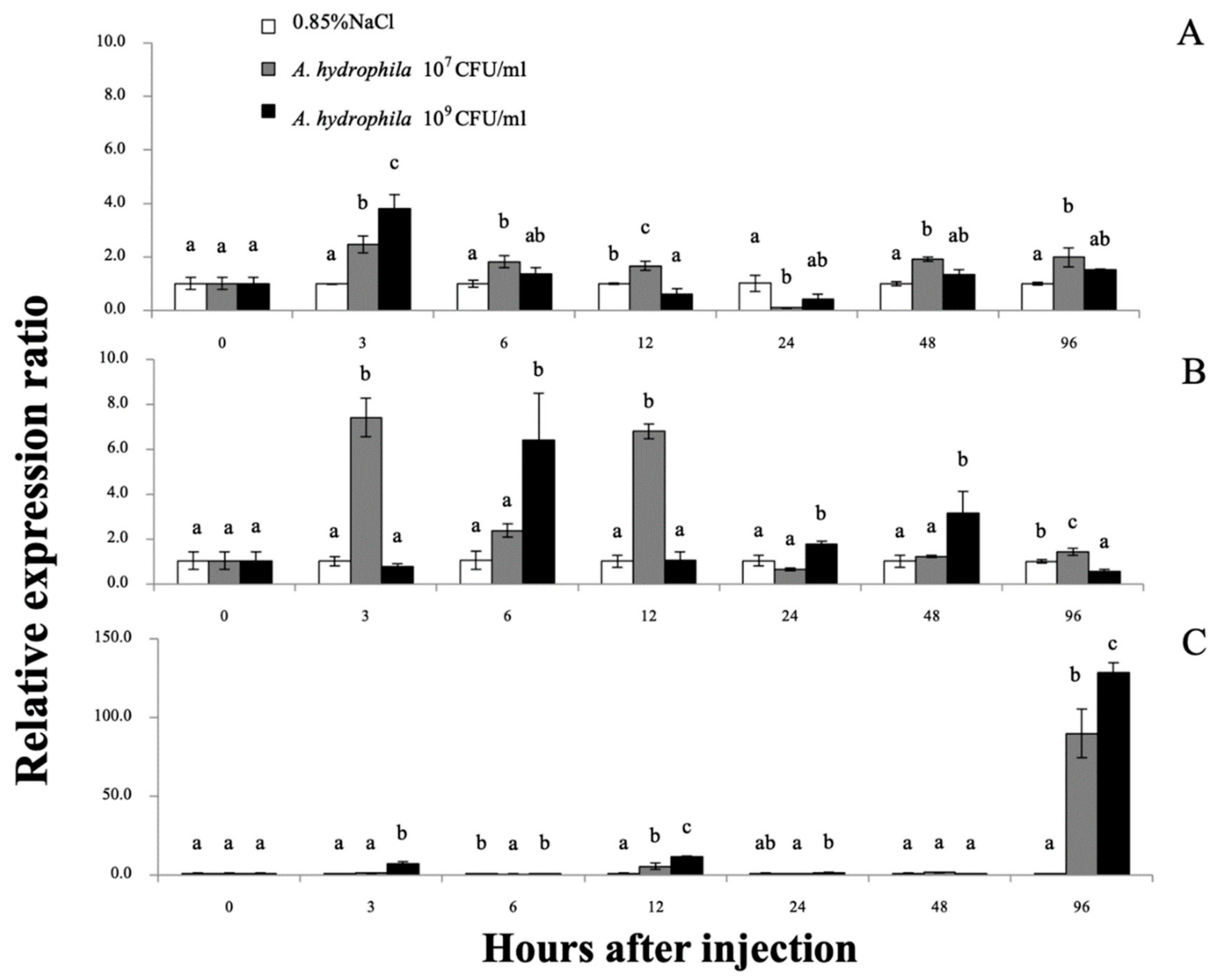 Biomolecules 11 01034 g009