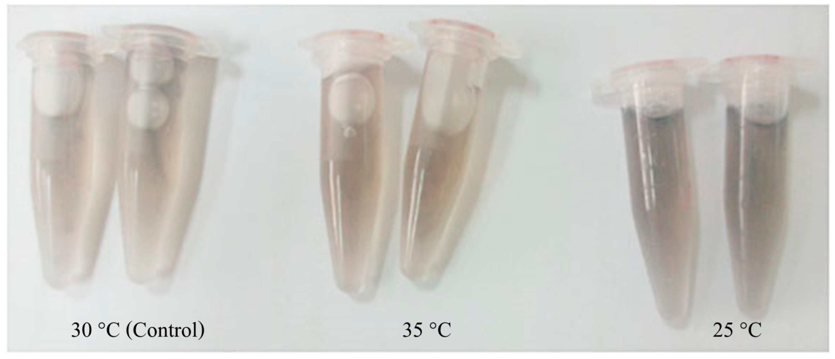 Biomolecules 11 01034 g010