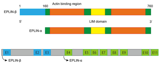 Biomolecules | Special Issue : Bioactive Molecules: Structures ...
