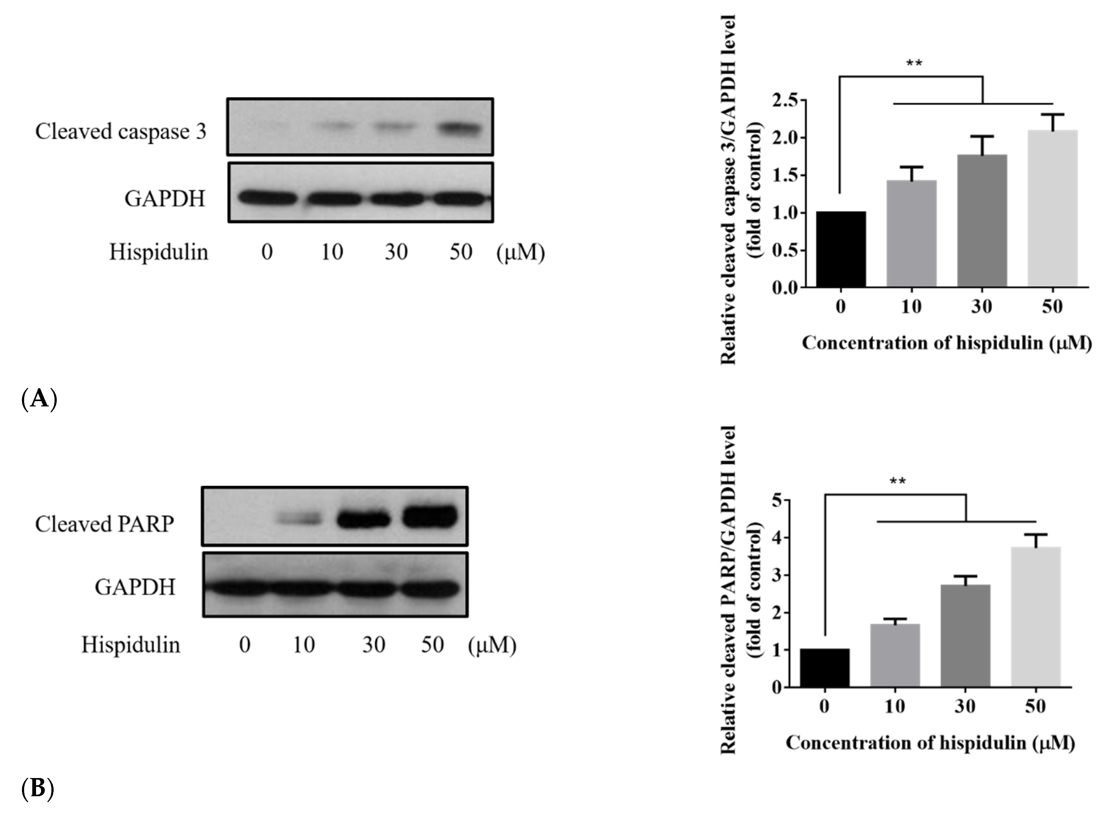 Biomolecules 11 01039 g004a Biomolecules 11 01039 g004a