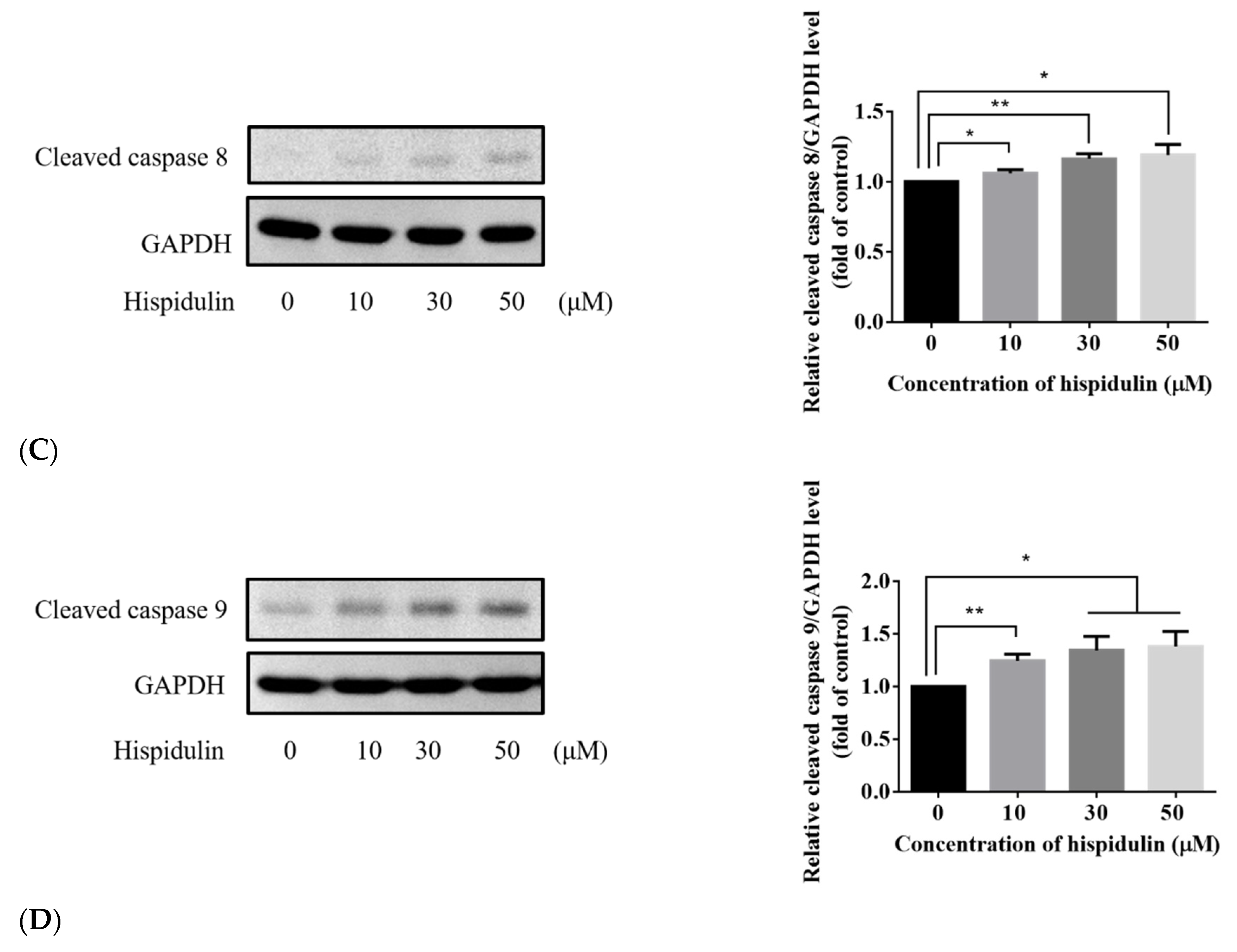 Biomolecules 11 01039 g004b Biomolecules 11 01039 g004b