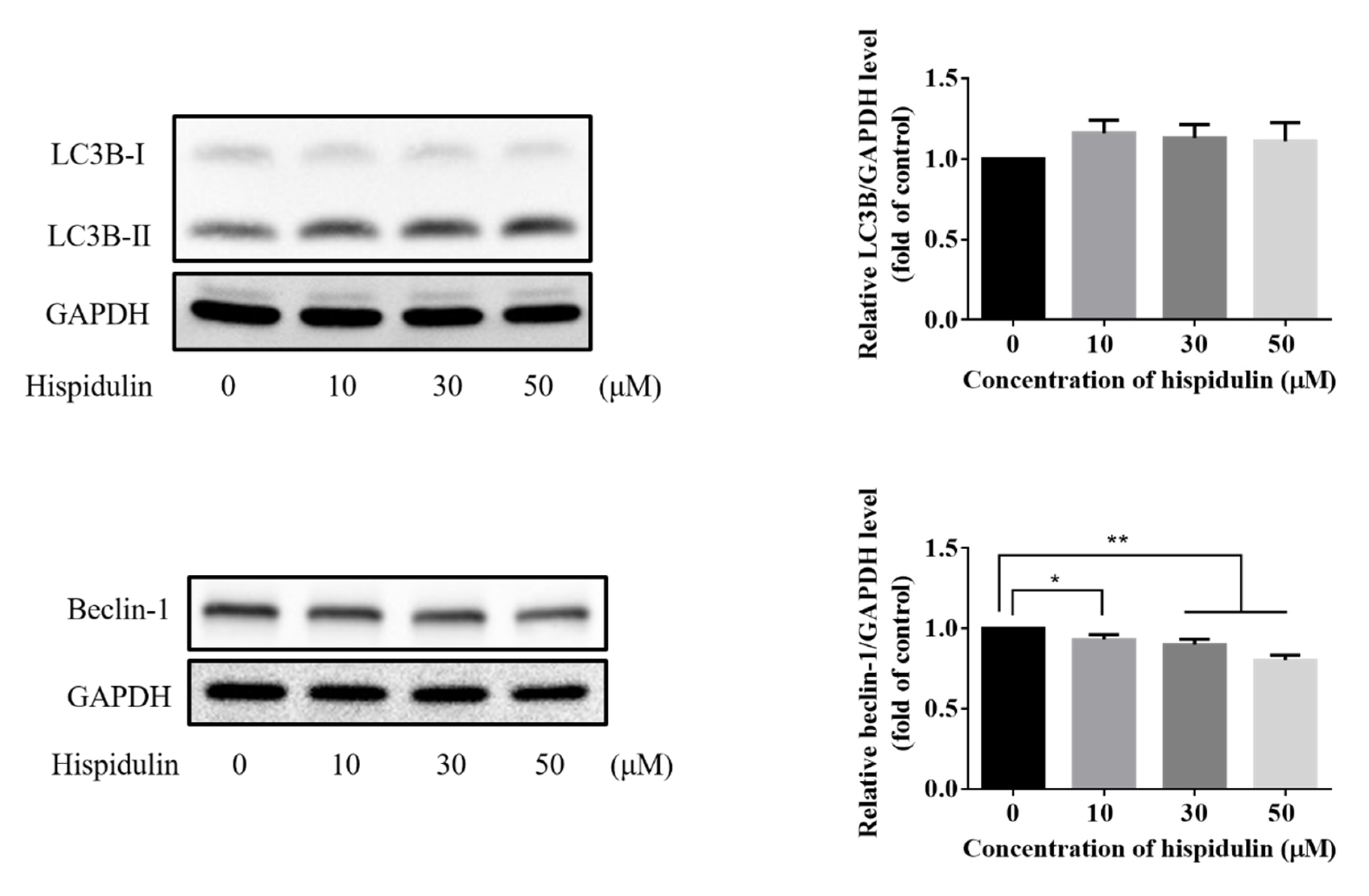 Biomolecules 11 01039 g005a Biomolecules 11 01039 g005a