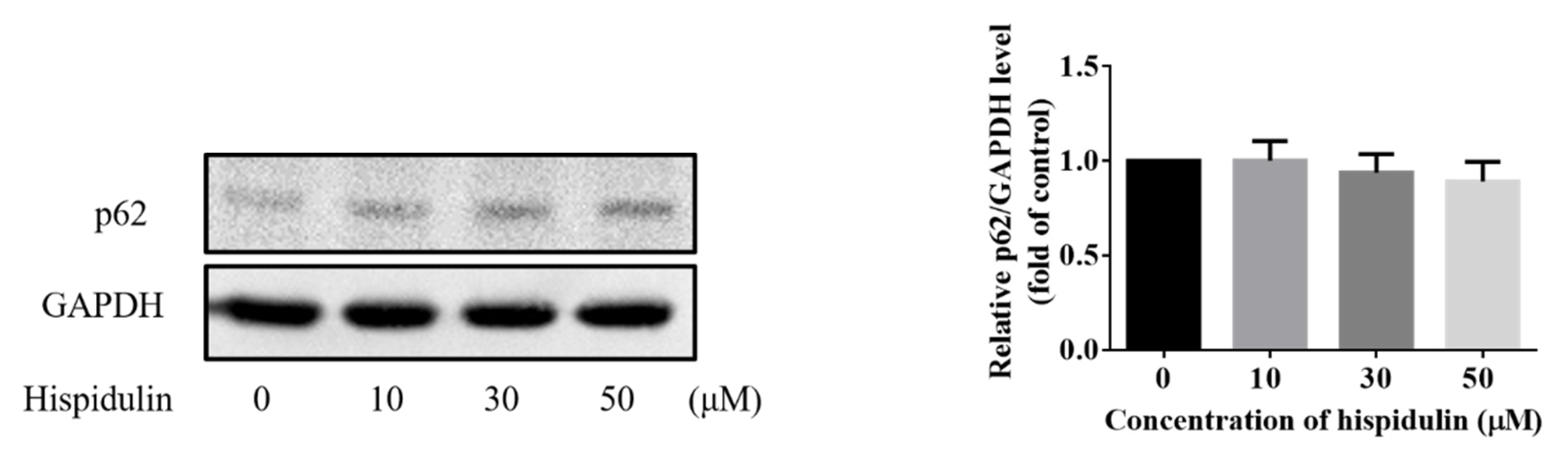 Biomolecules 11 01039 g005b Biomolecules 11 01039 g005b