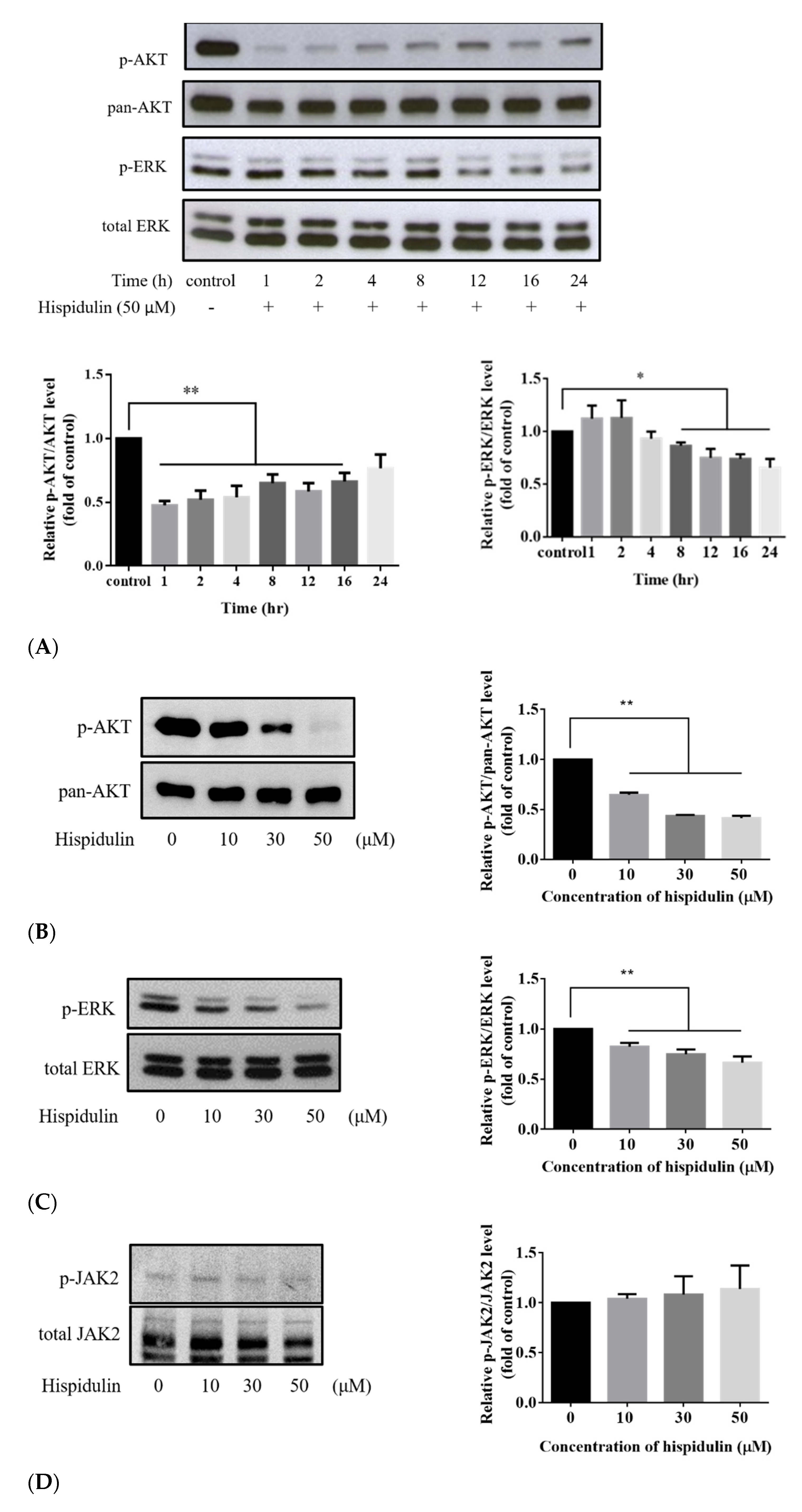 Biomolecules 11 01039 g006a Biomolecules 11 01039 g006a