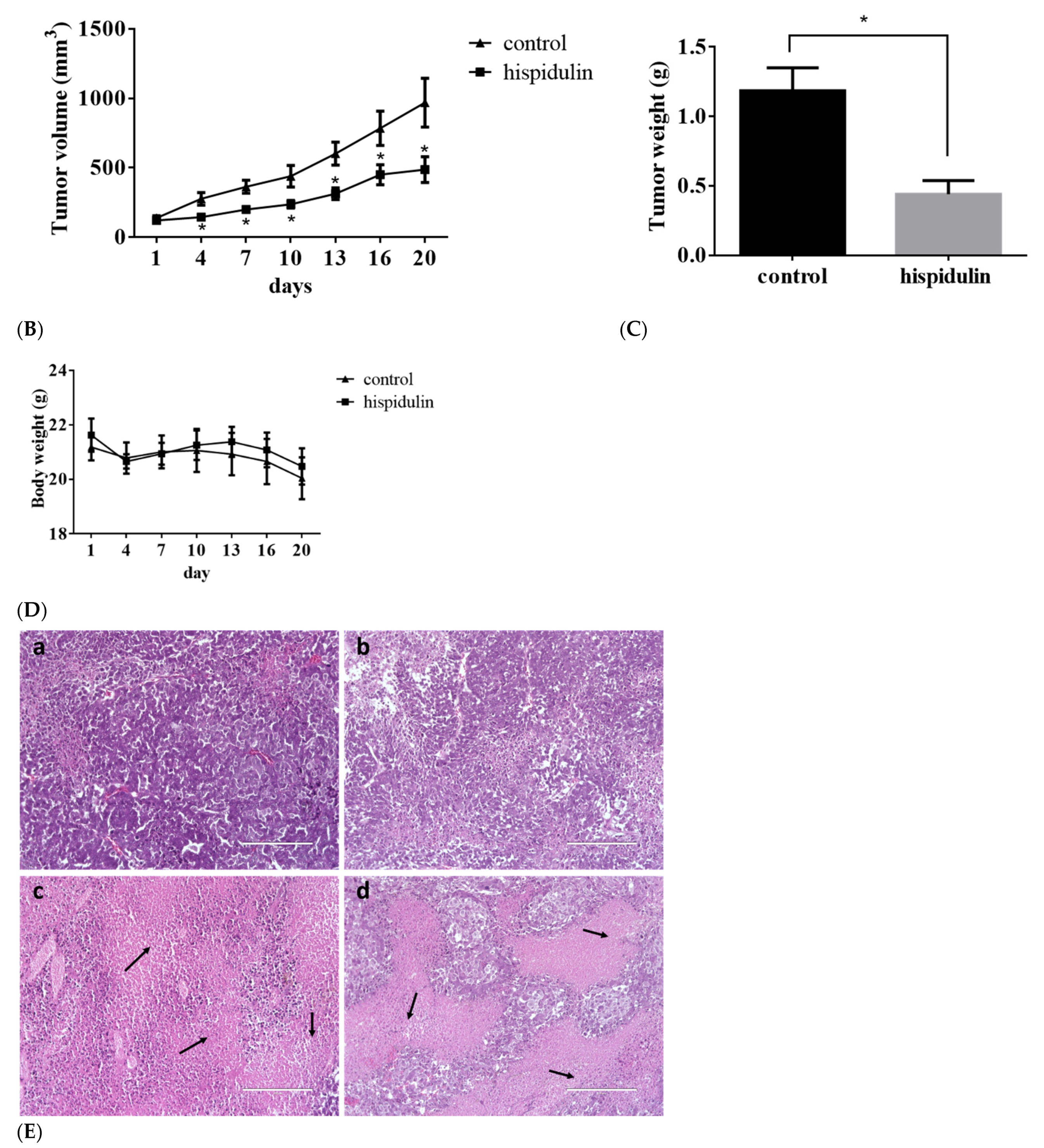 Biomolecules 11 01039 g009b Biomolecules 11 01039 g009b