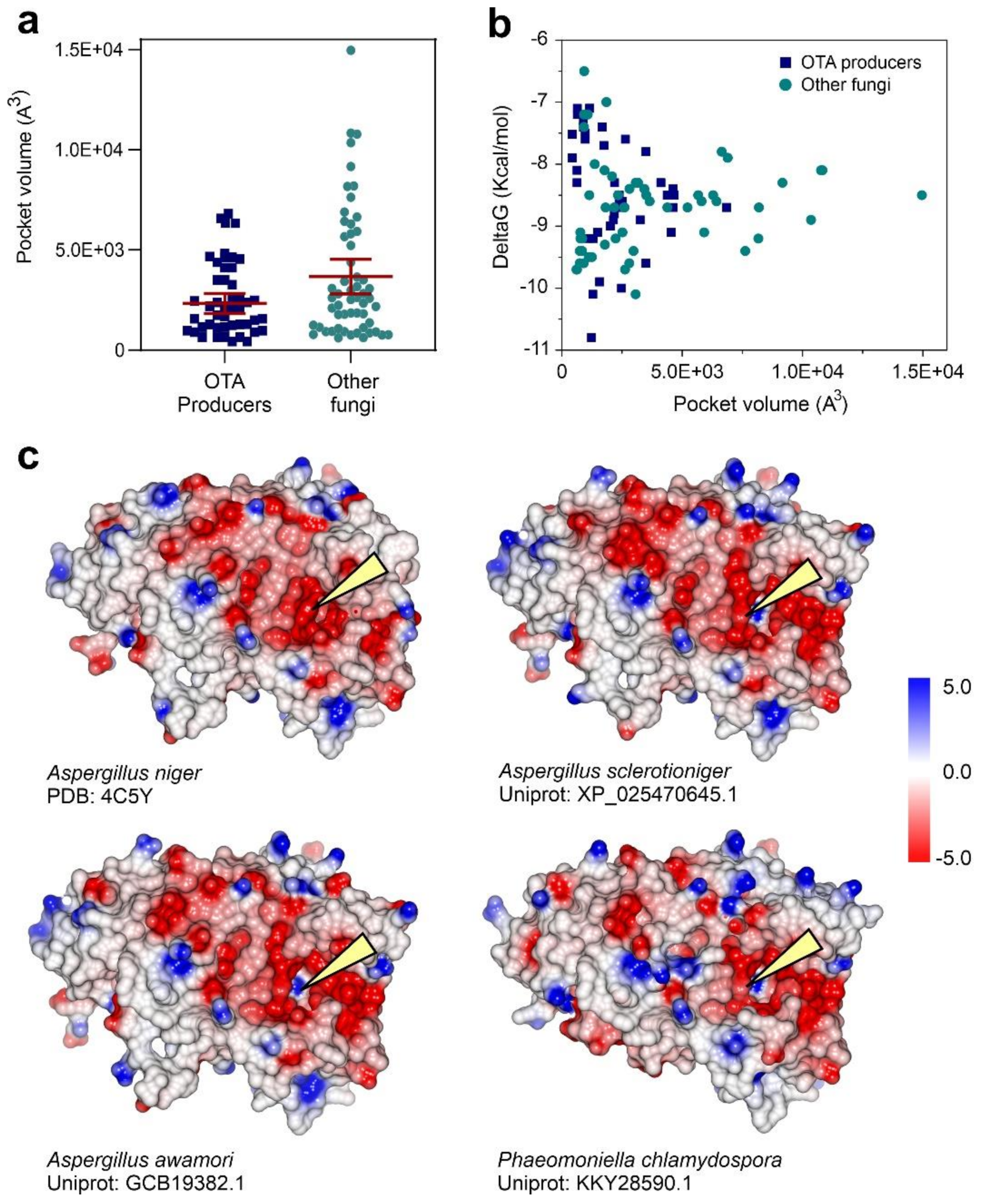 Biomolecules 11 01040 g005 Biomolecules 11 01040 g005