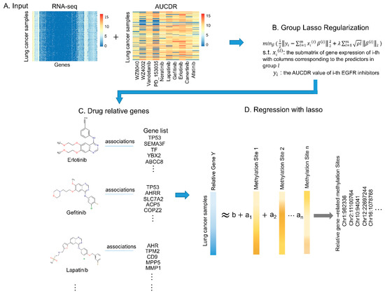 Biomolecules | Free Full-Text | Computational Probing the