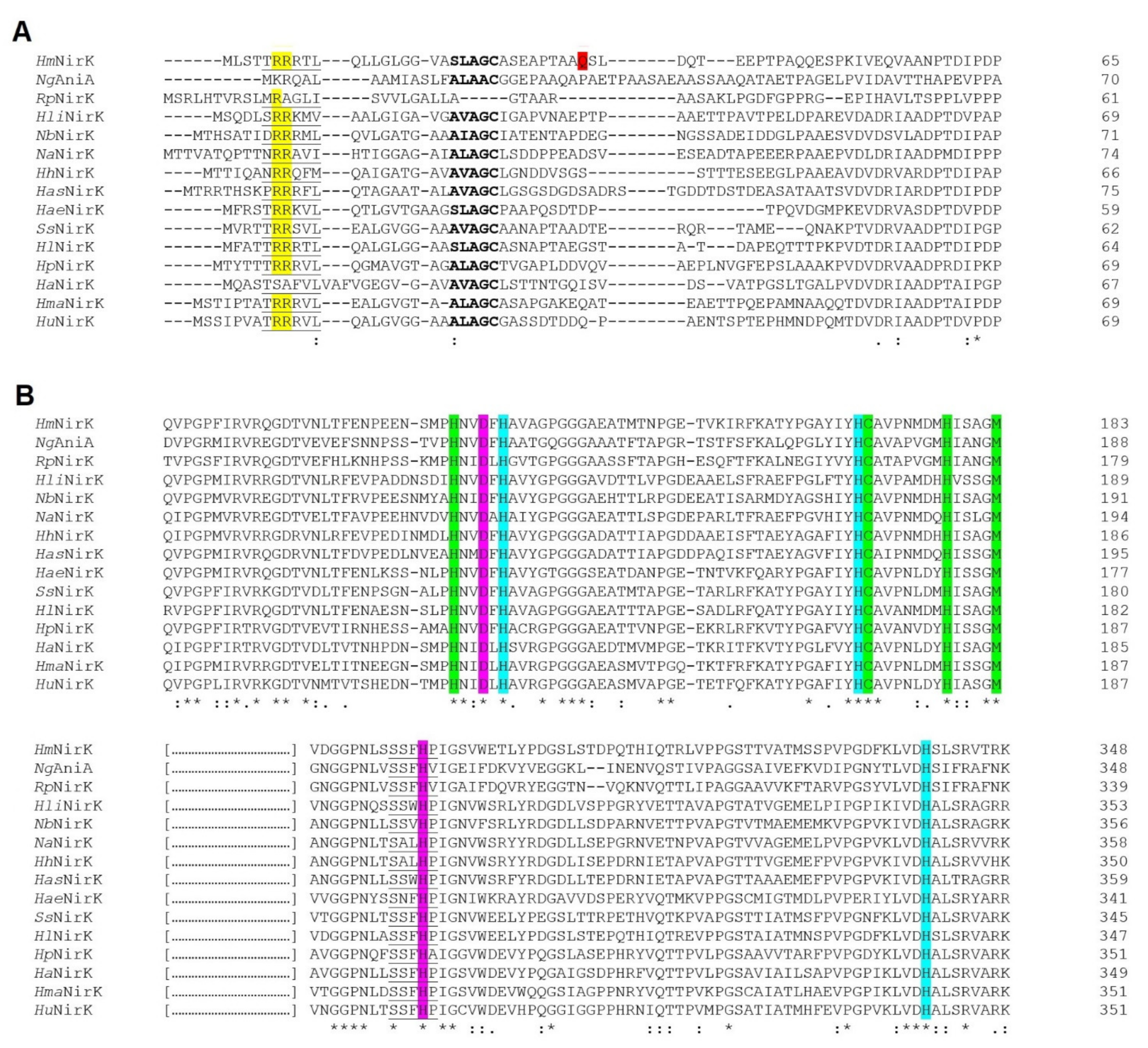 Biomolecules 11 01043 g005