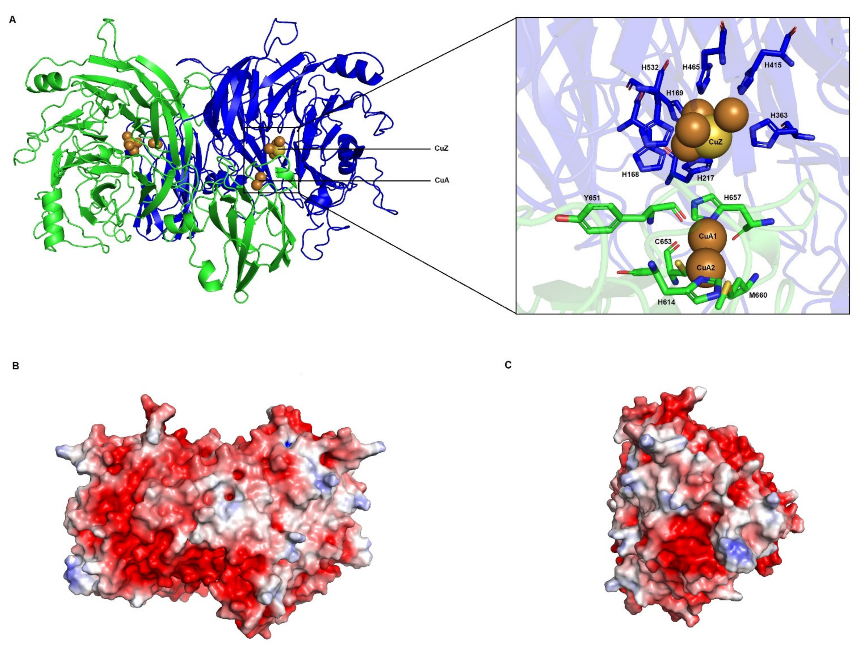 Biomolecules 11 01043 g008