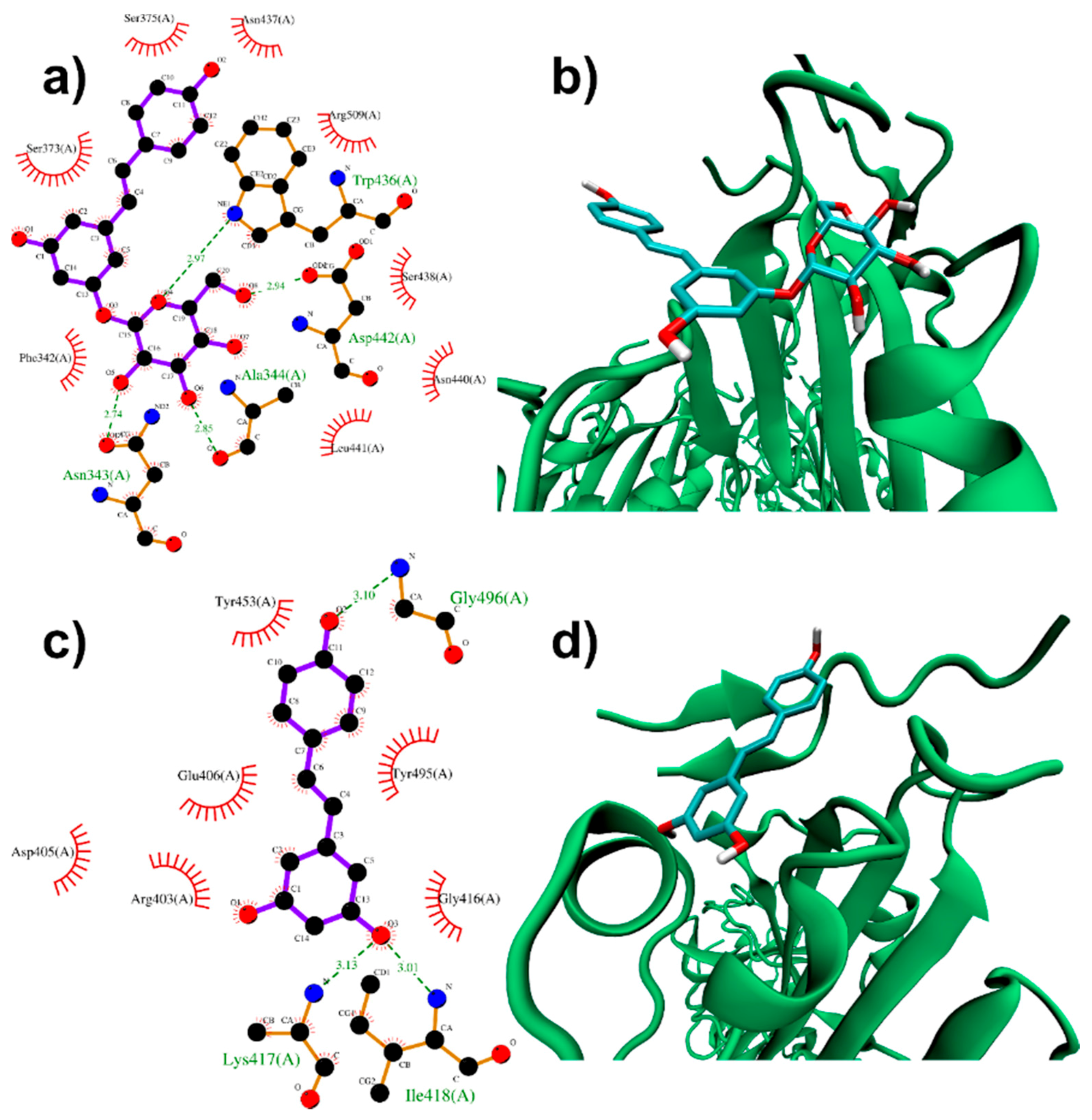 Biomolecules 11 01048 g002