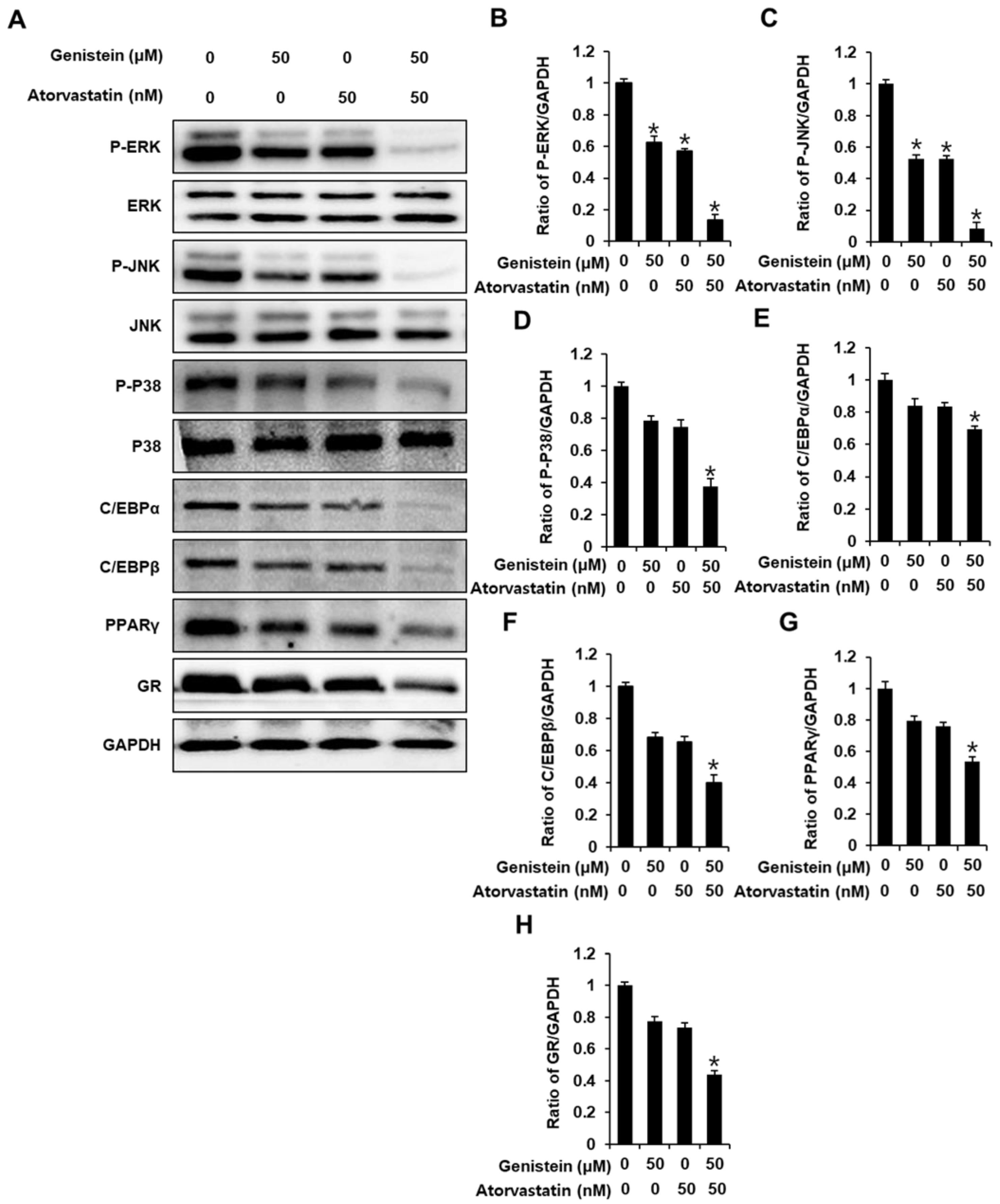 Biomolecules 11 01052 g002