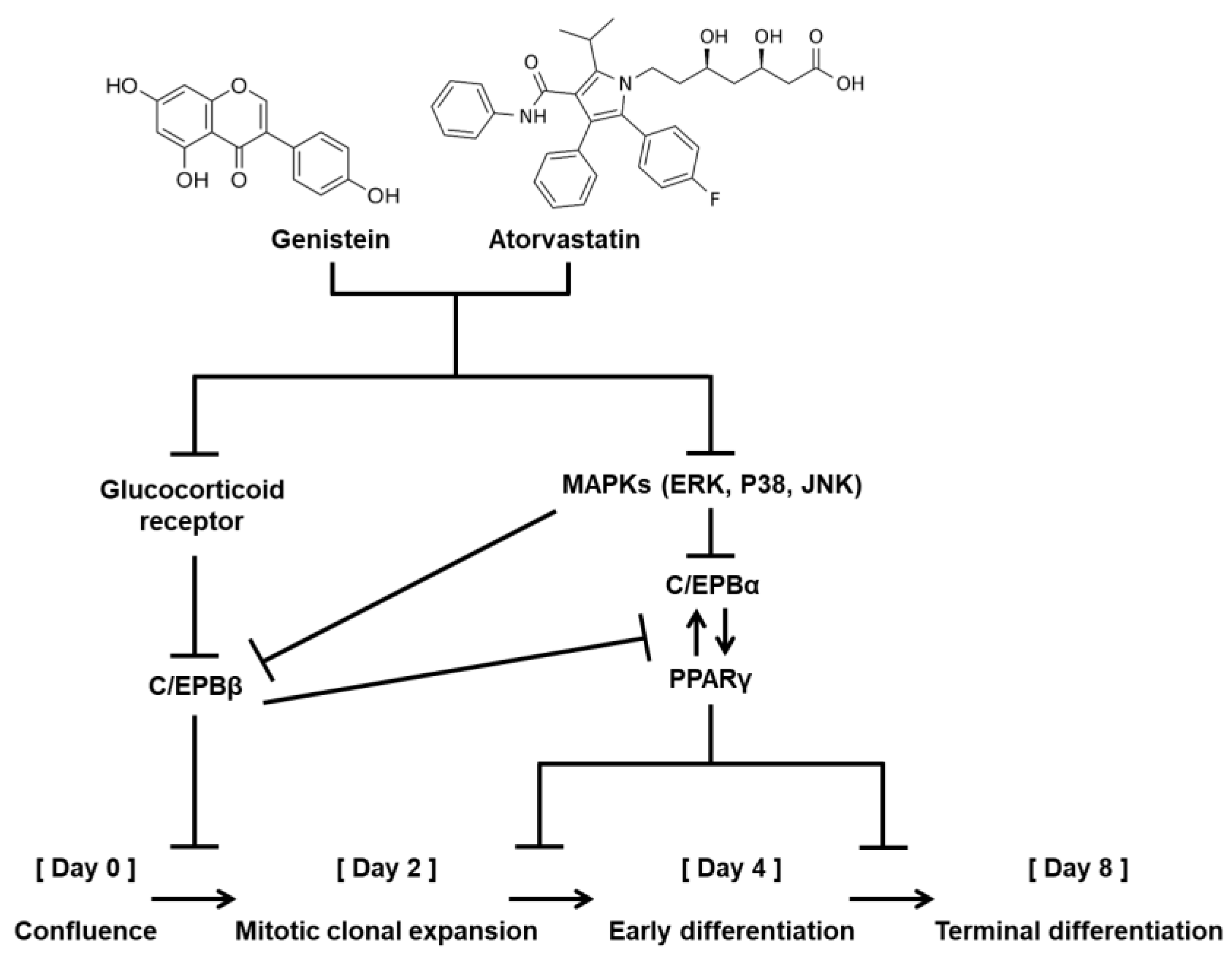 Biomolecules 11 01052 g003