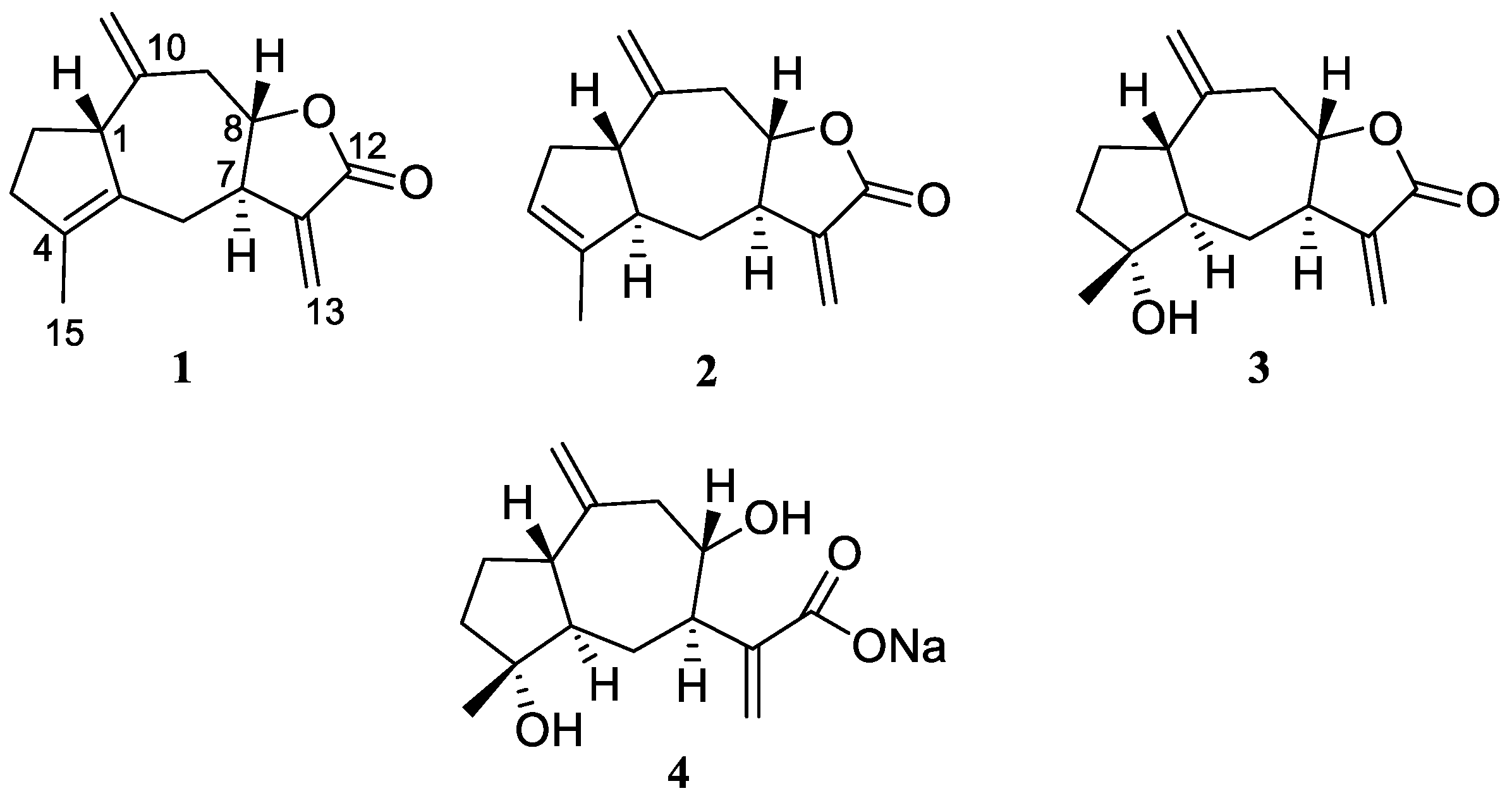 Biomolecules 11 01053 g001