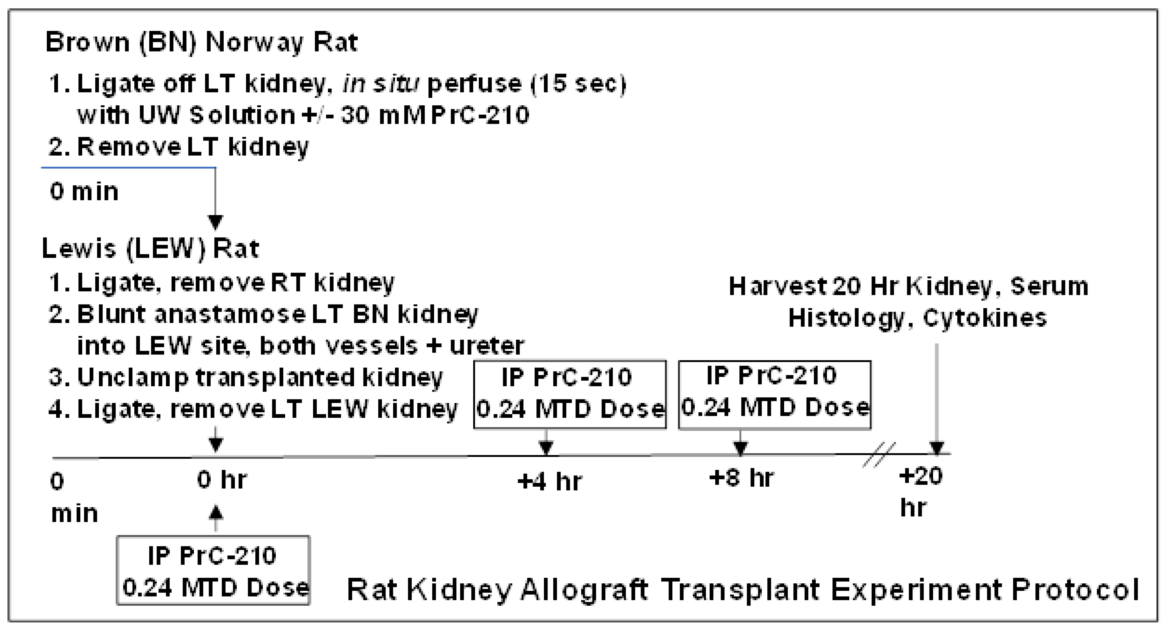 Biomolecules 11 01054 g001 550