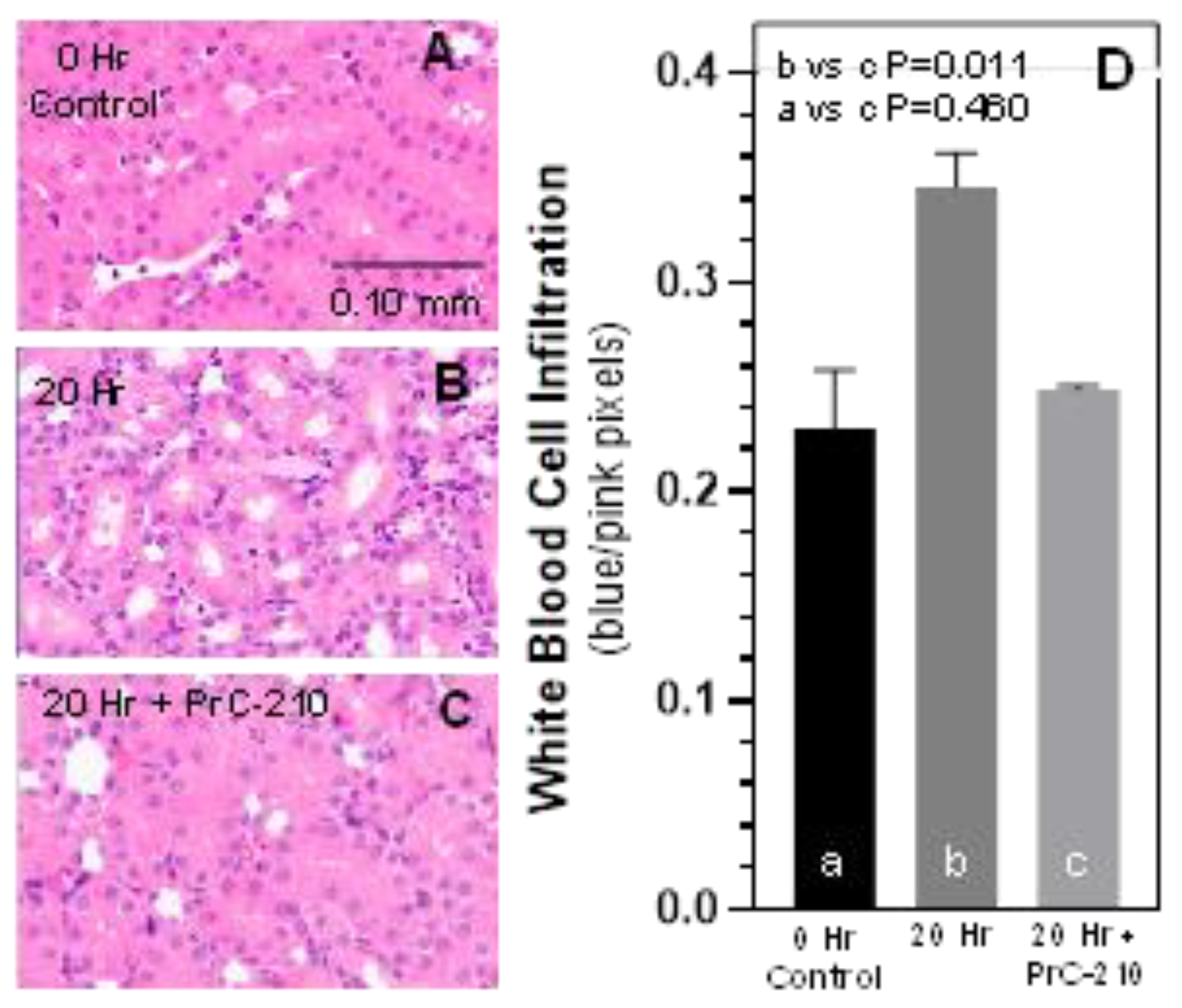 Biomolecules 11 01054 g003 550