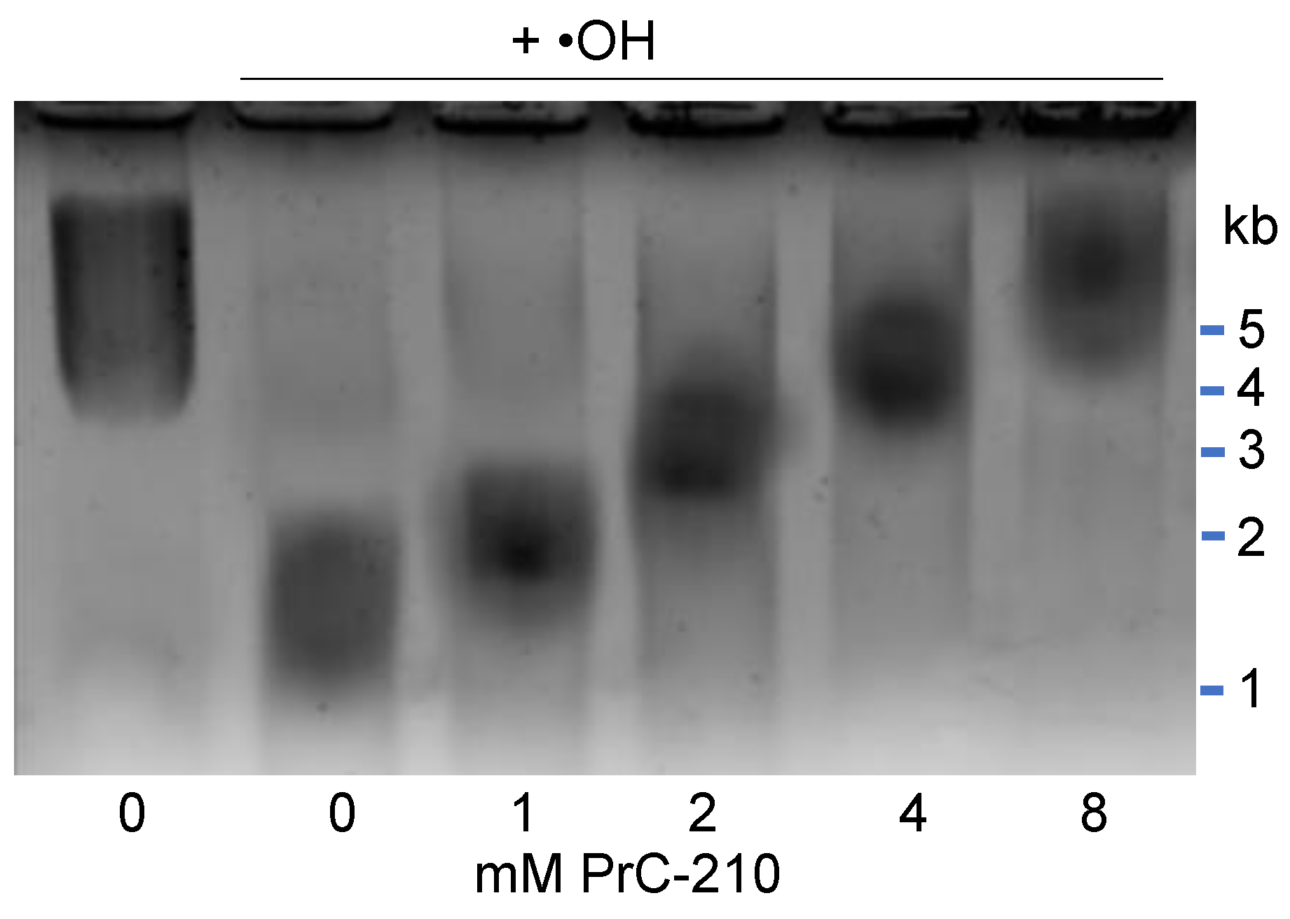Biomolecules 11 01054 g007 550