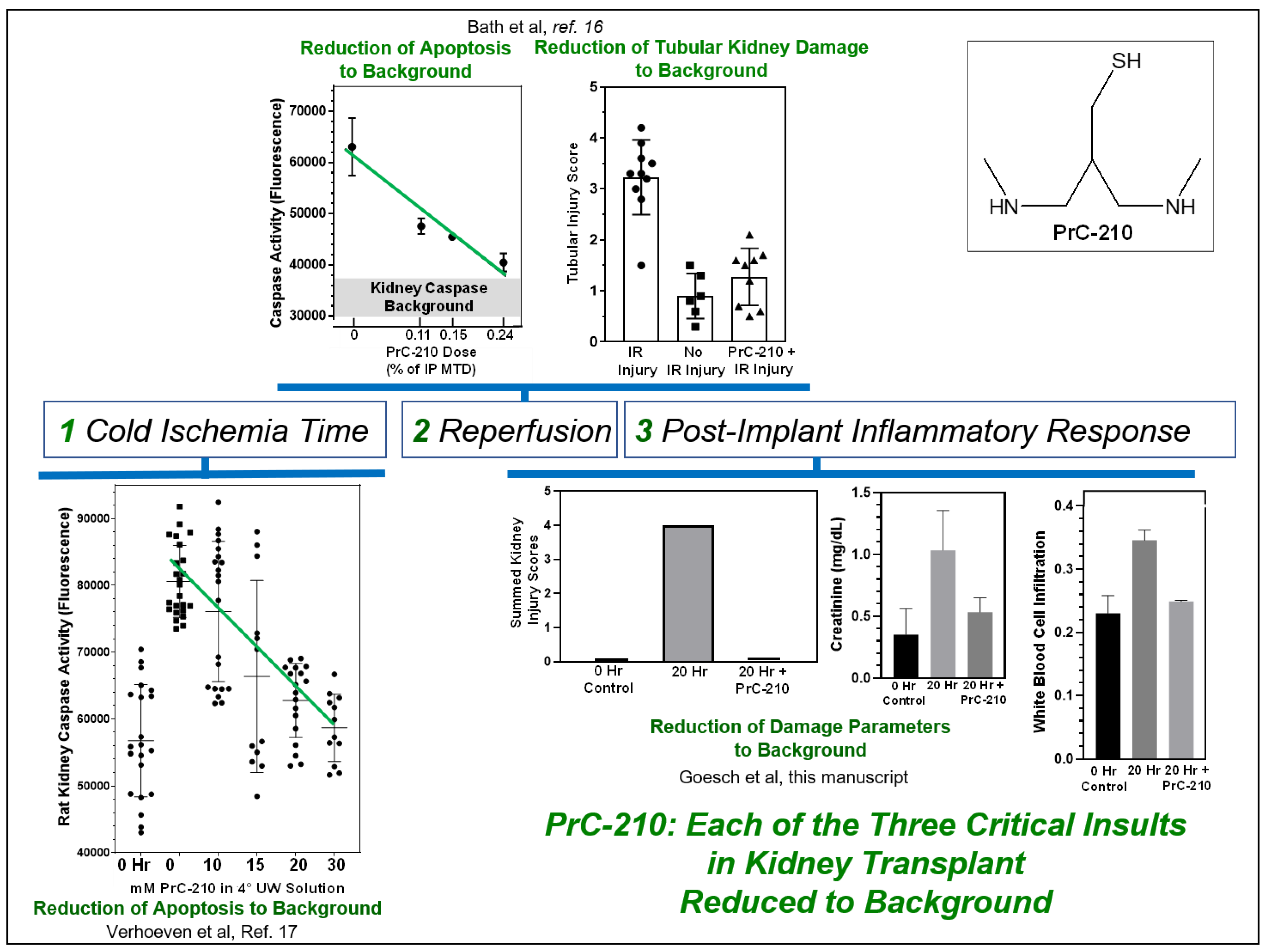 Biomolecules 11 01054 g008 550