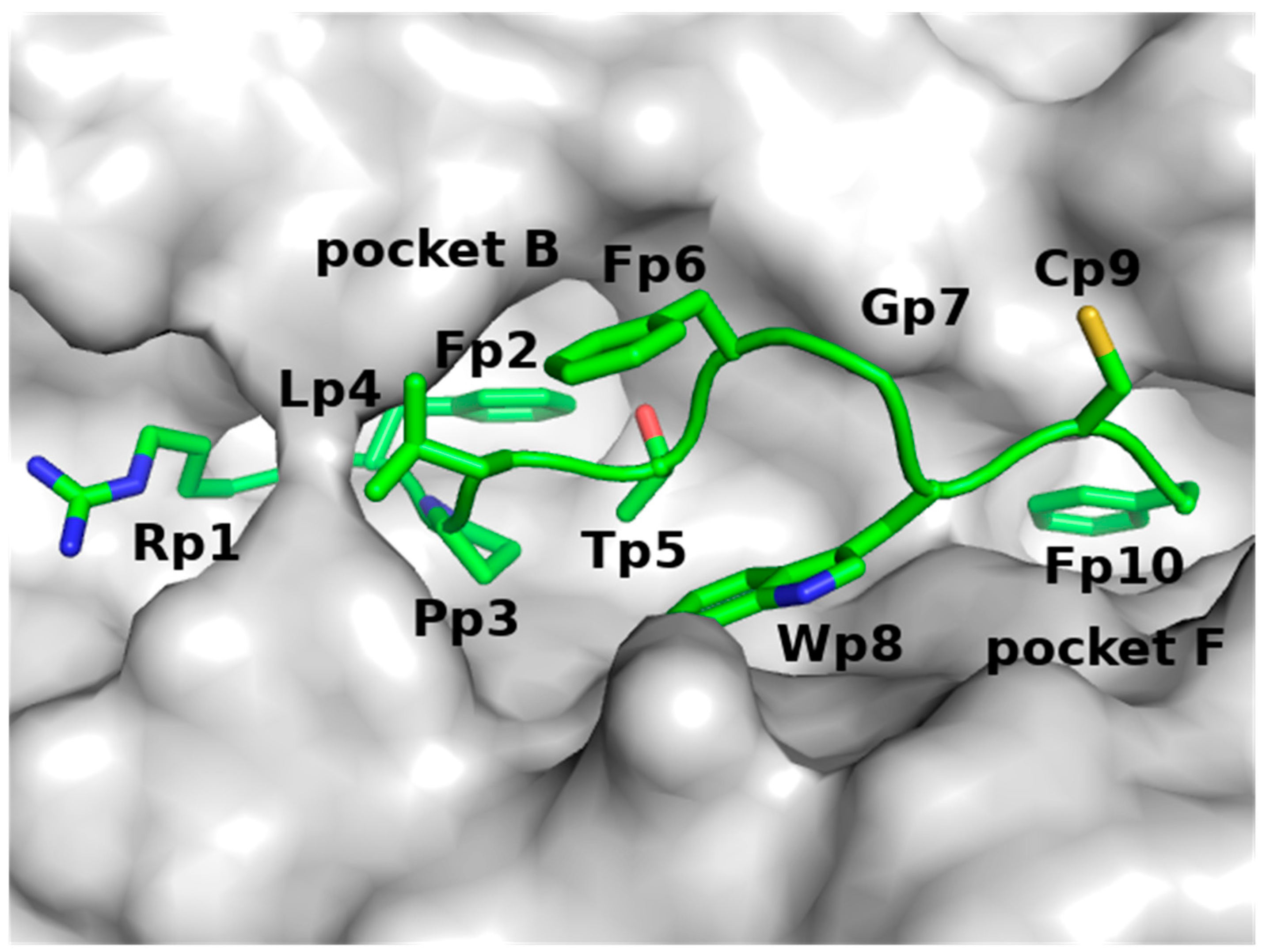 Biomolecules 11 01056 g001
