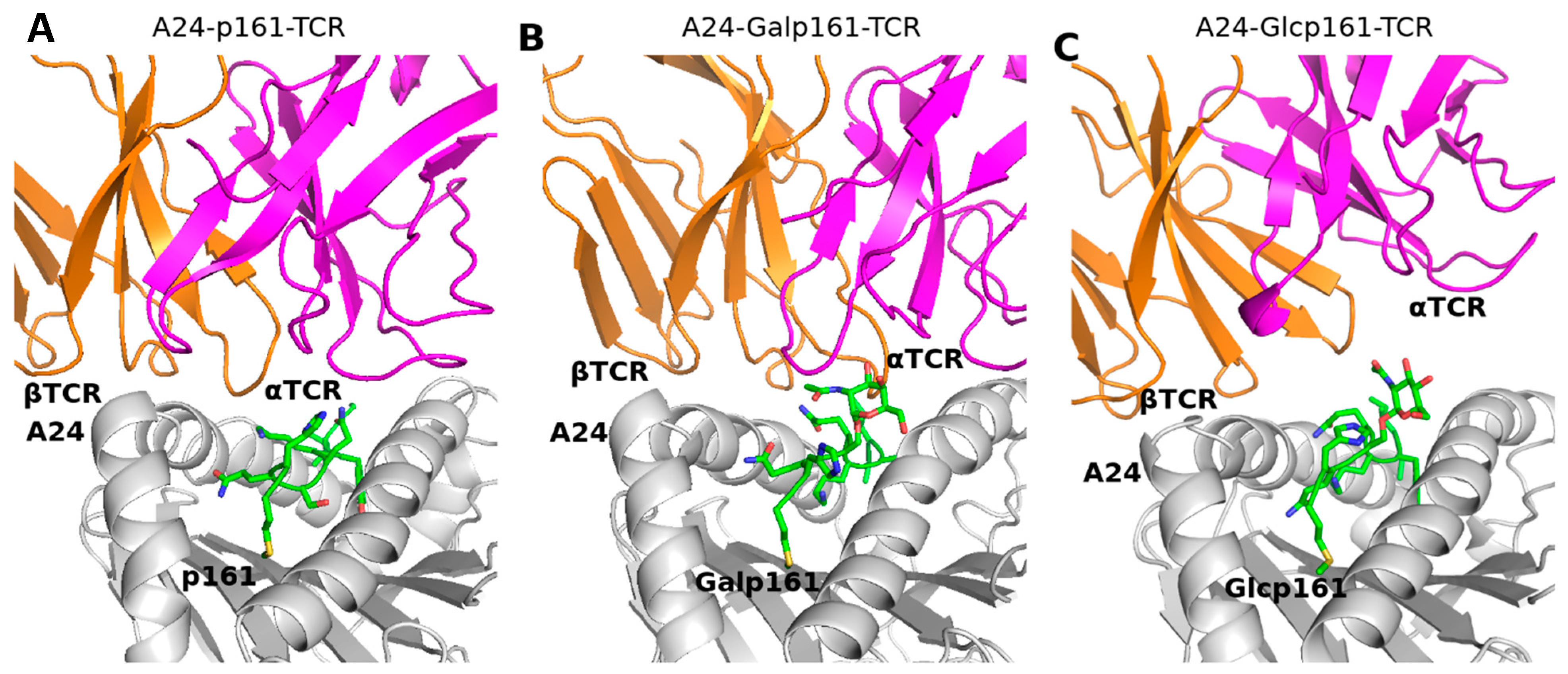 Biomolecules 11 01056 g006