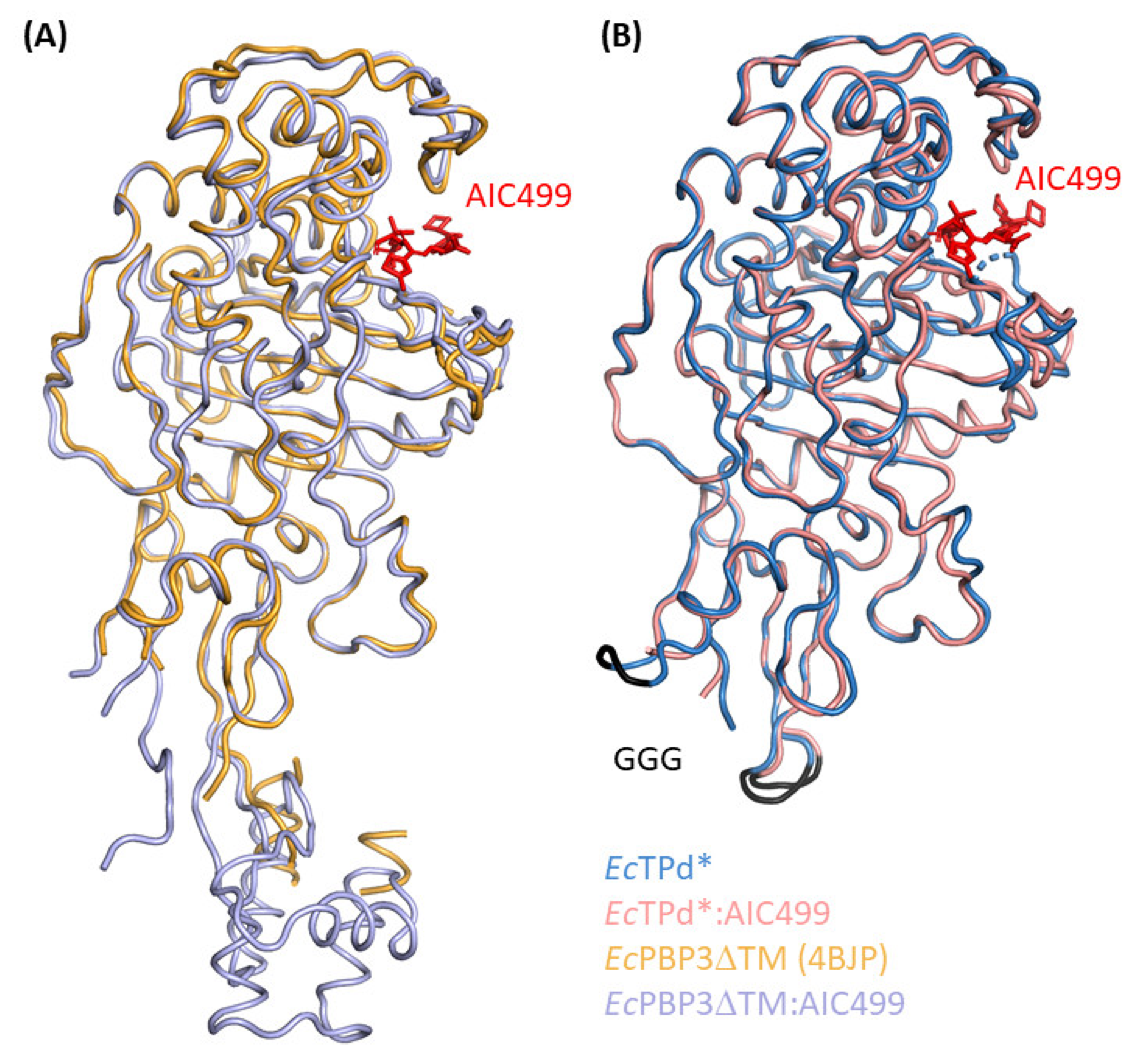 Biomolecules 11 01057 g003