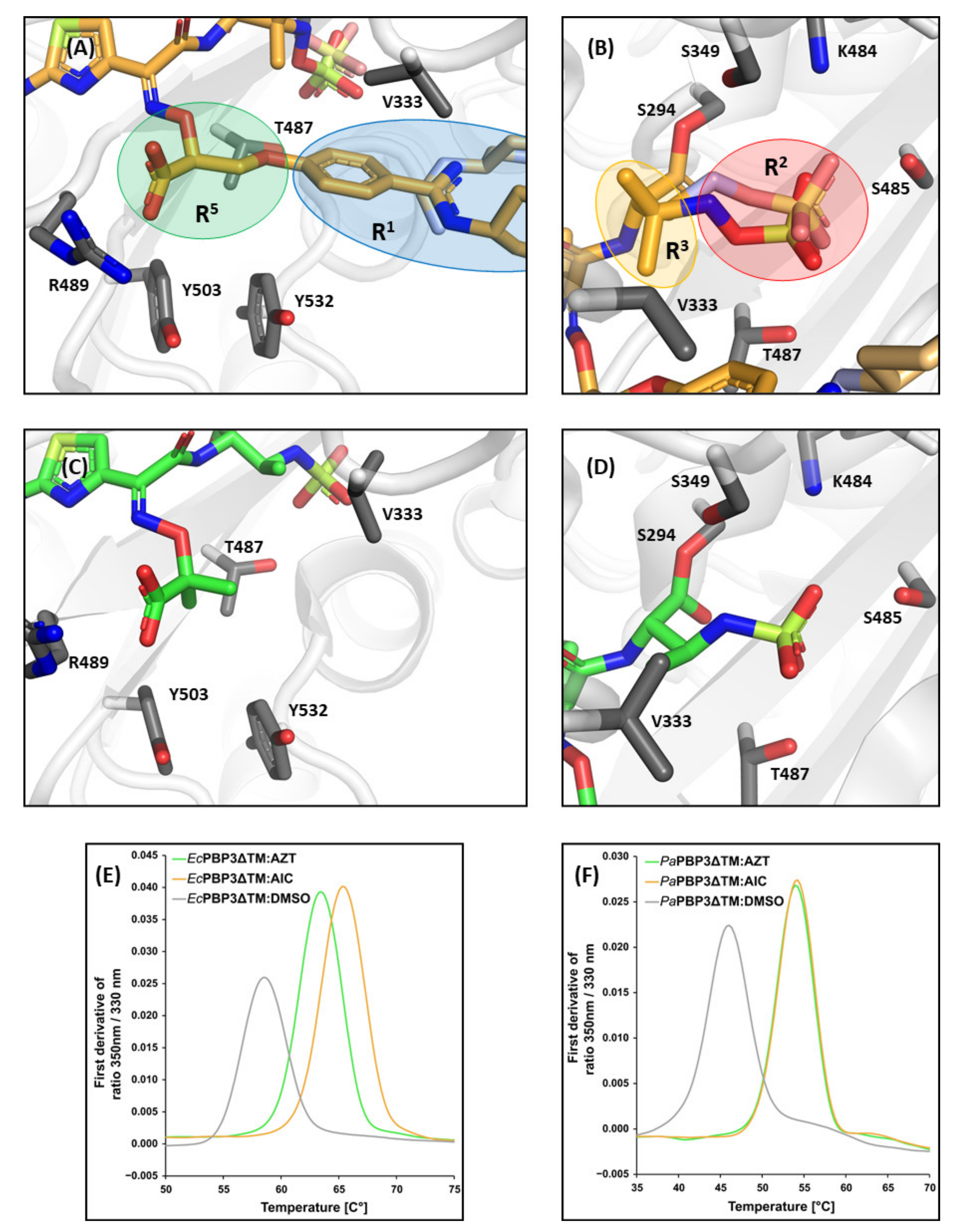 Biomolecules 11 01057 g007