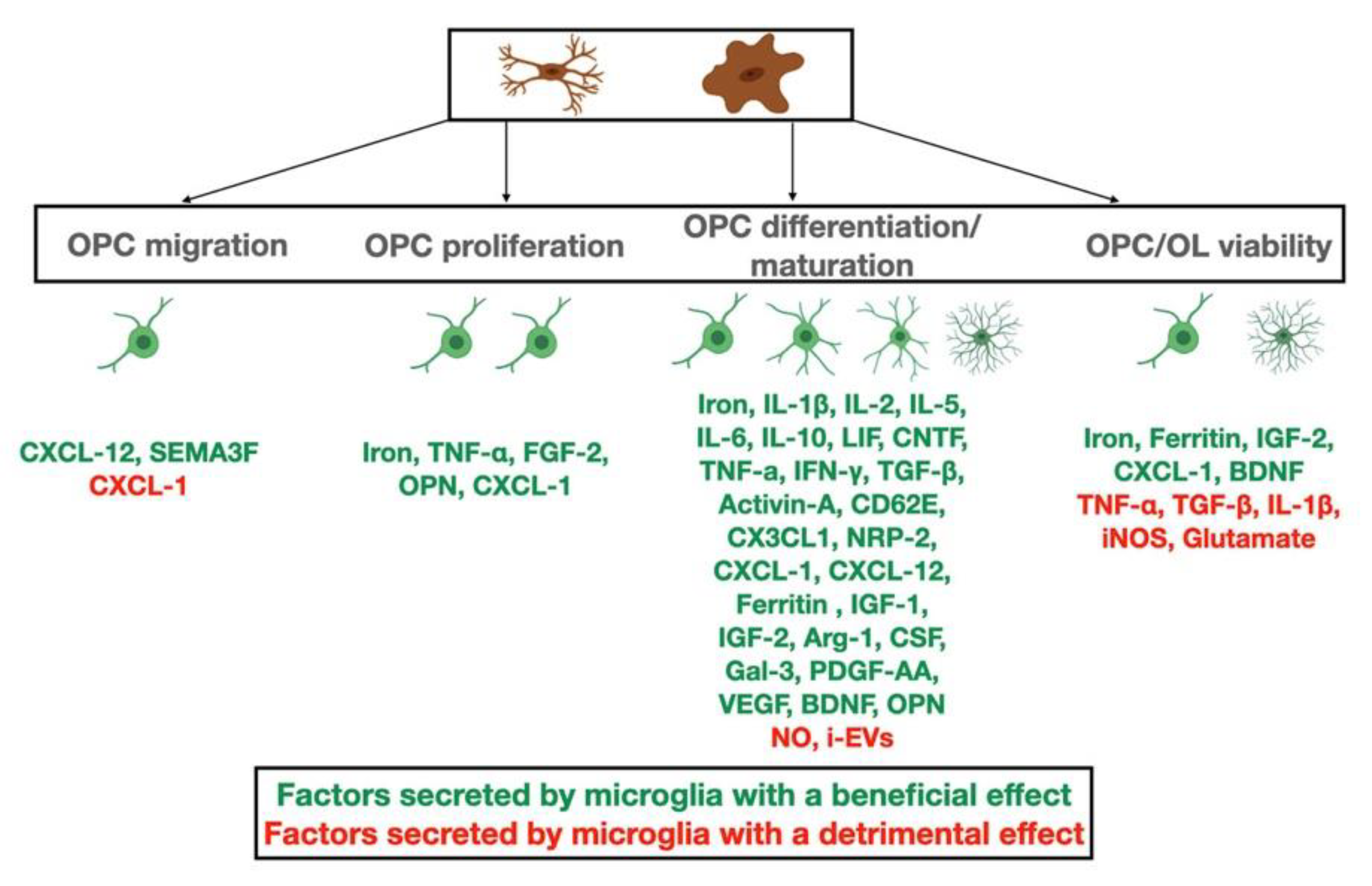 Biomolecules 11 01058 g002 Biomolecules 11 01058 g002