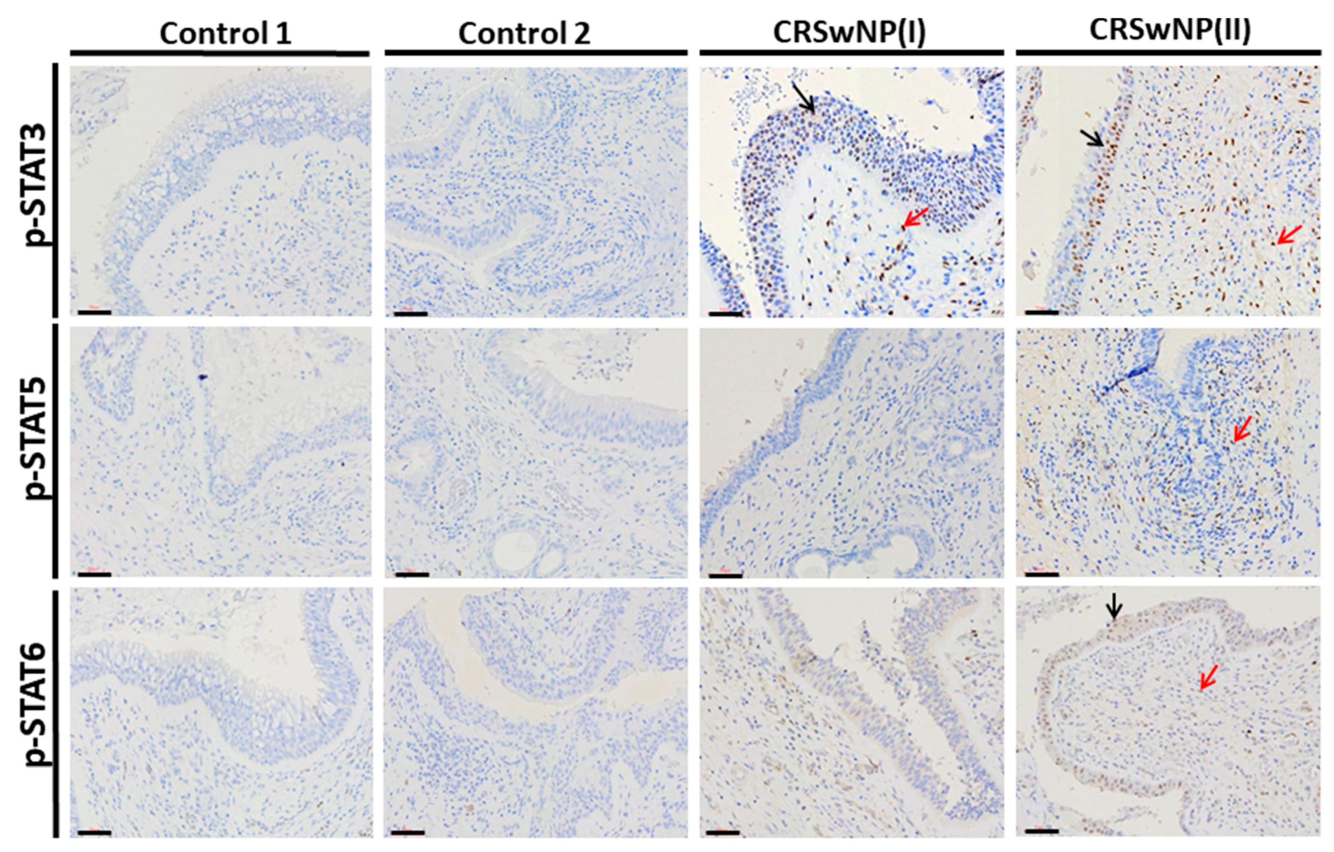 Biomolecules 11 01059 g002