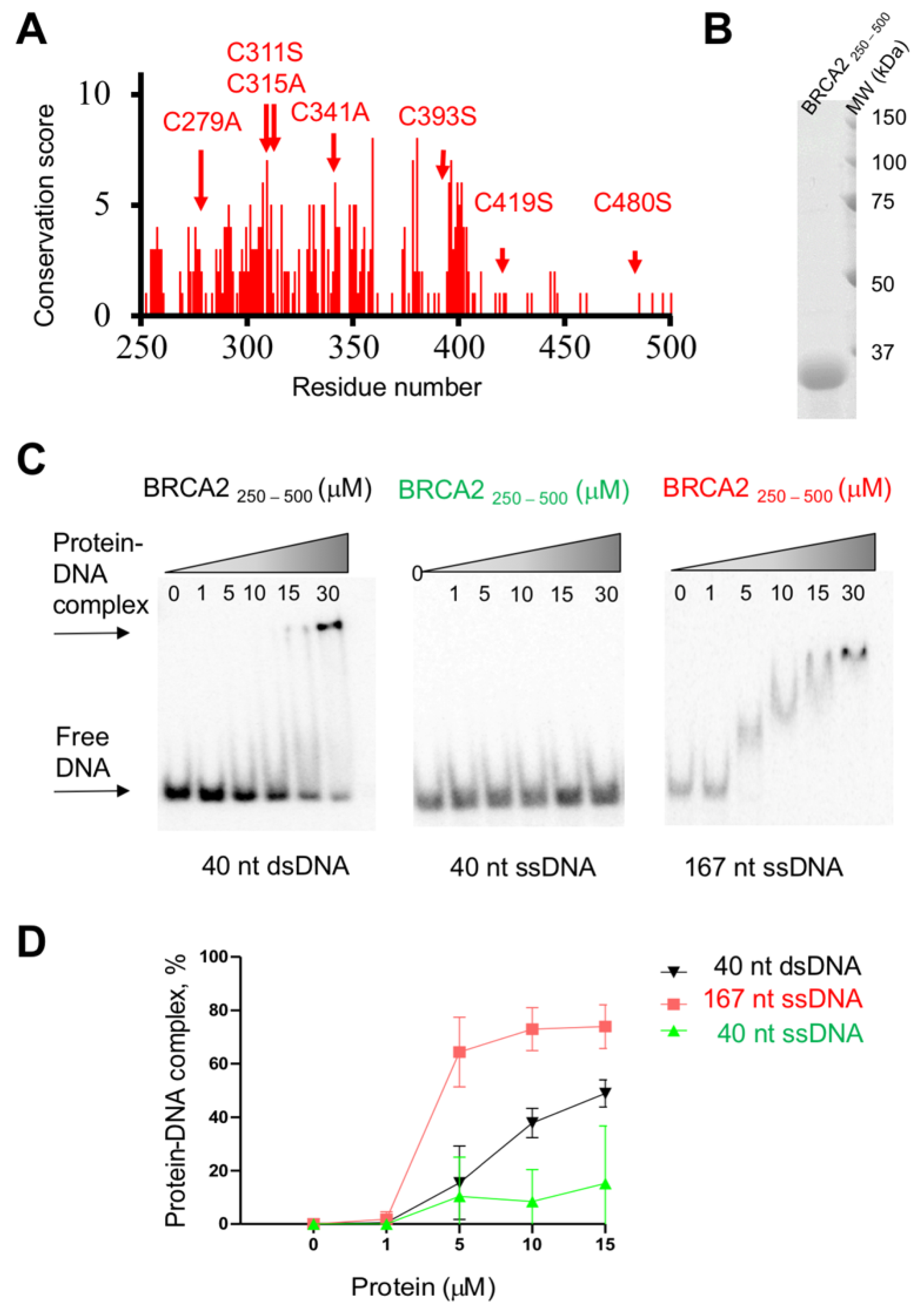 Biomolecules 11 01060 g005
