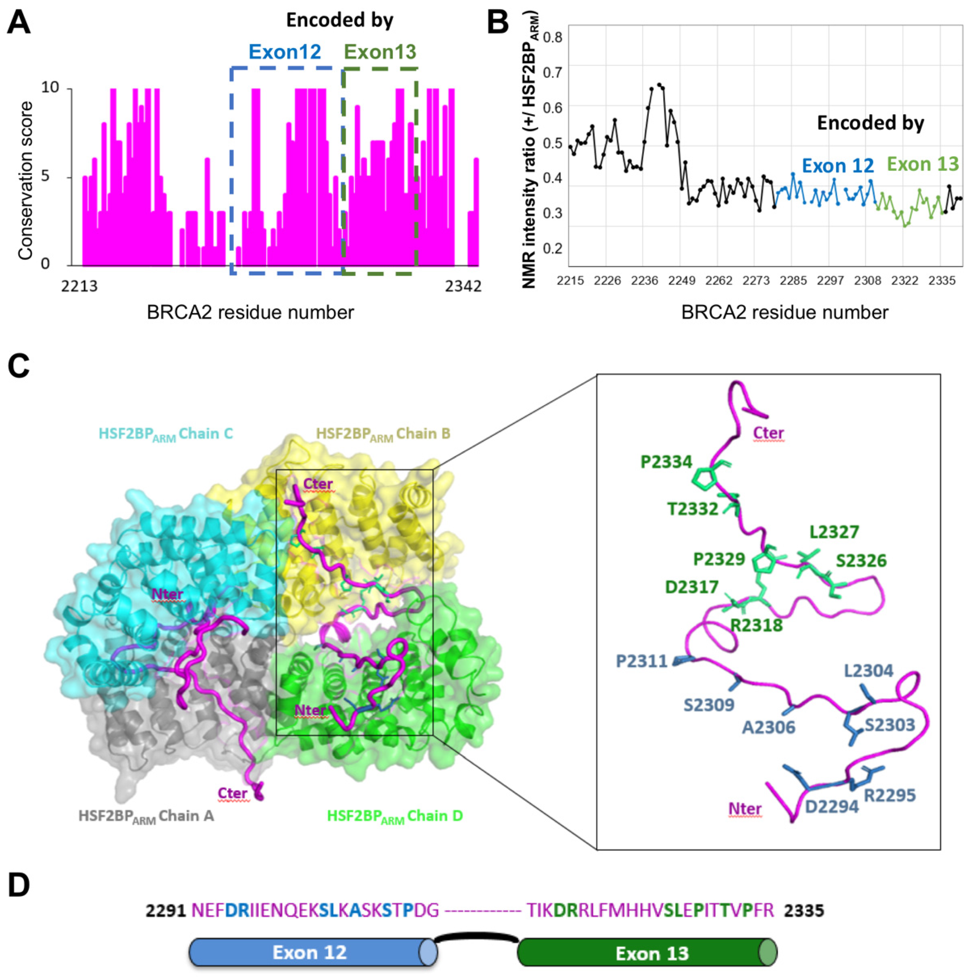 Biomolecules 11 01060 g006