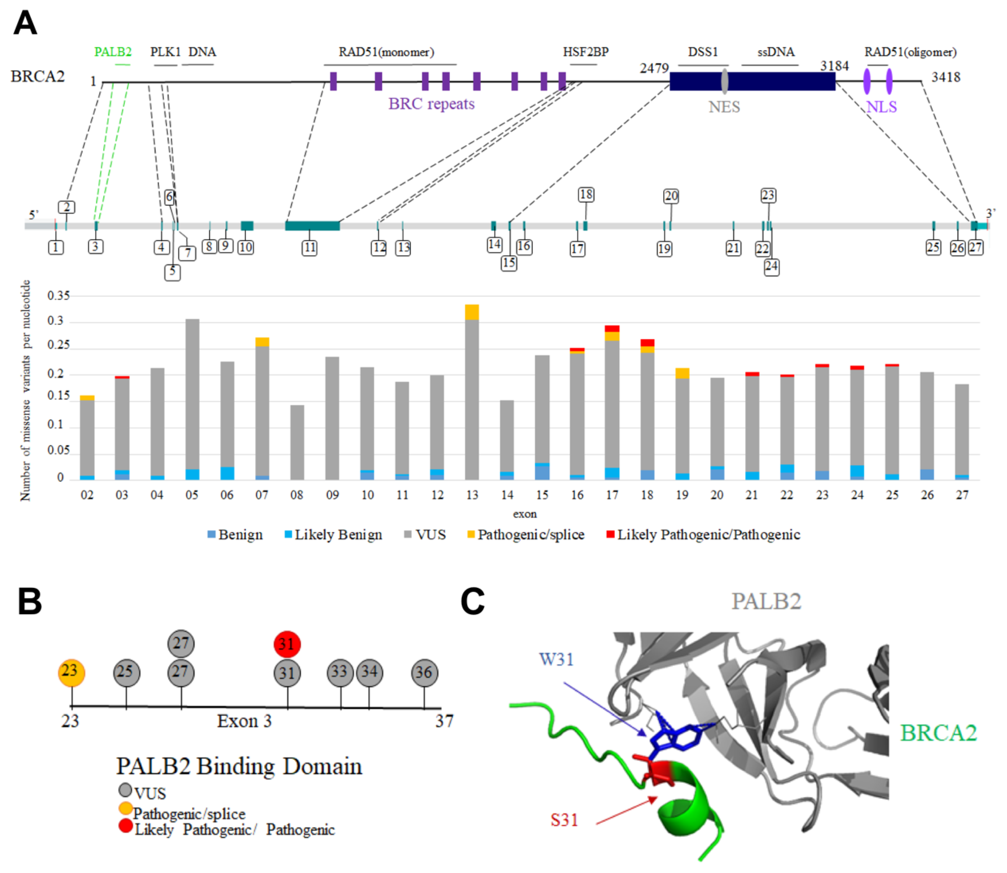 Biomolecules 11 01060 g007