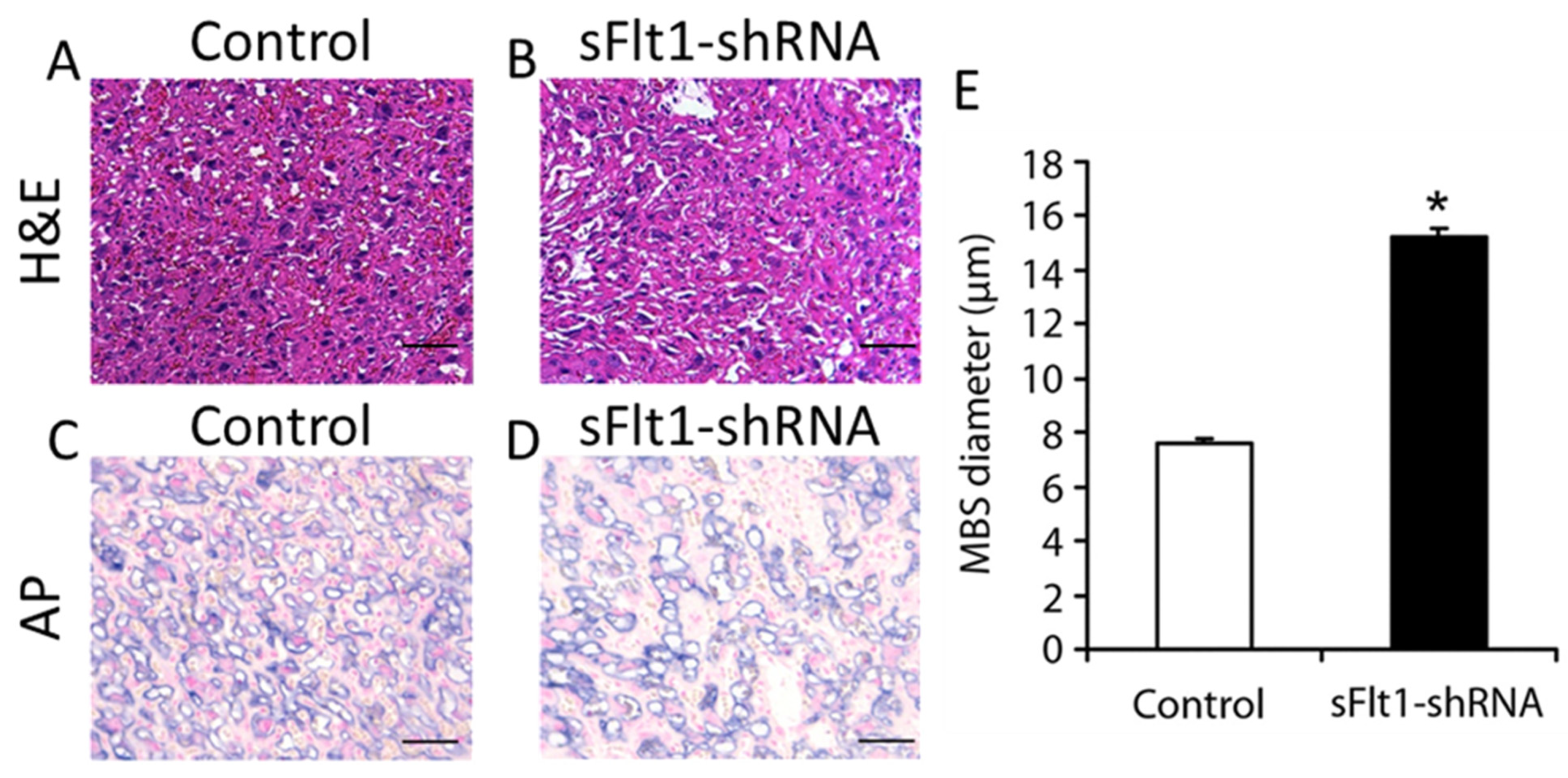Biomolecules 11 01062 g004 550