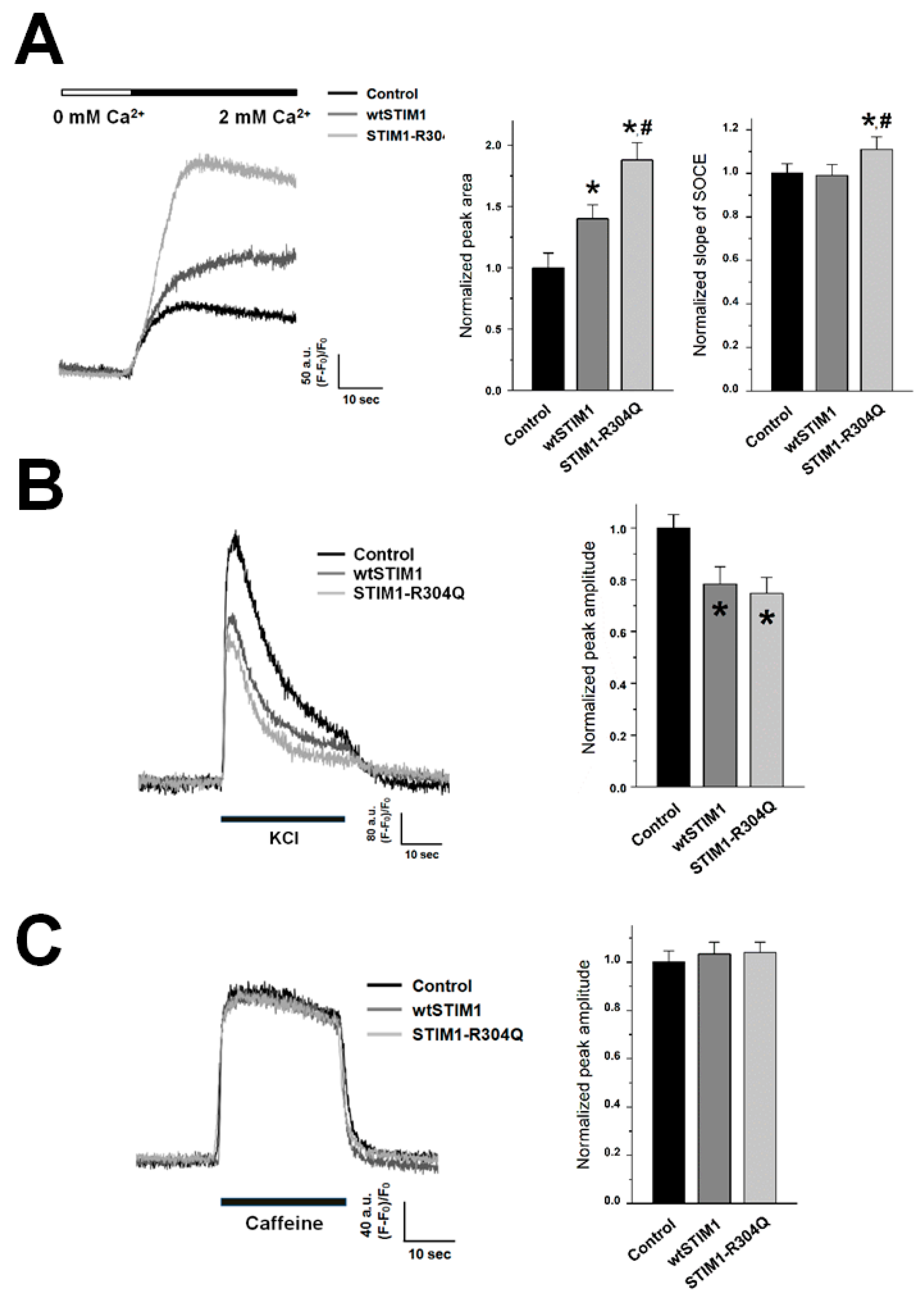 Biomolecules 11 01064 g002