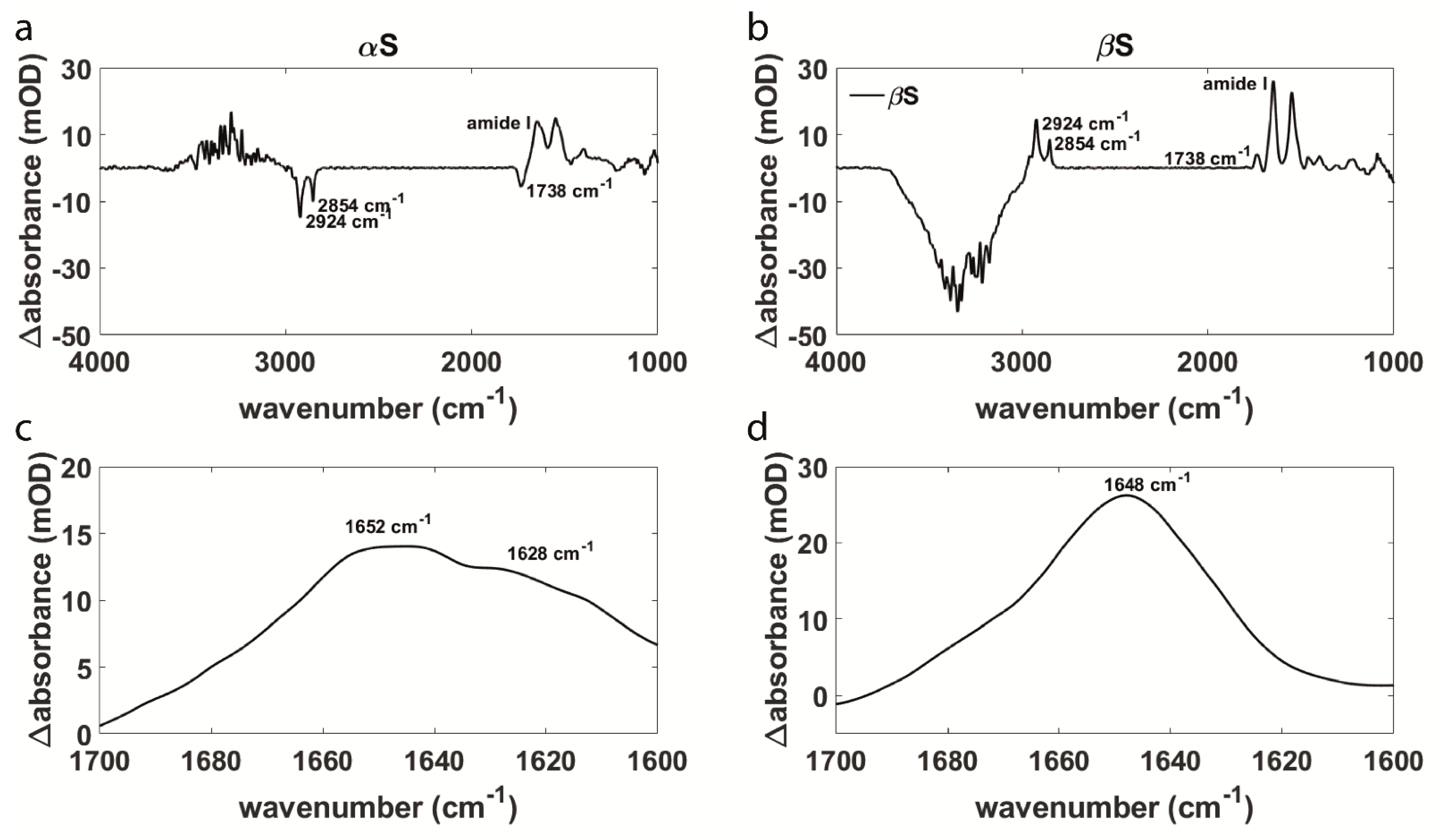 Biomolecules 11 01067 g001